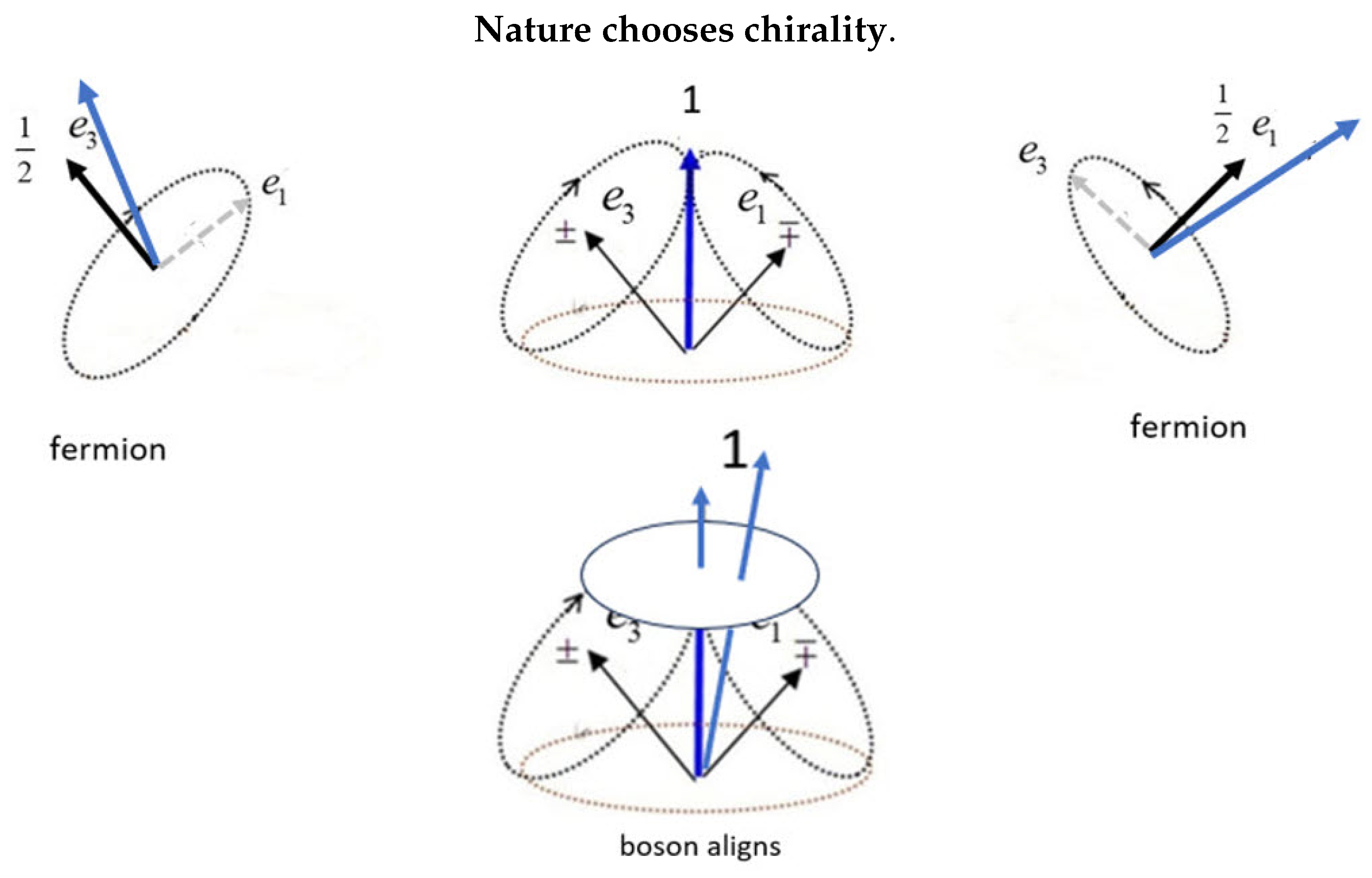 Preprints 144263 g005