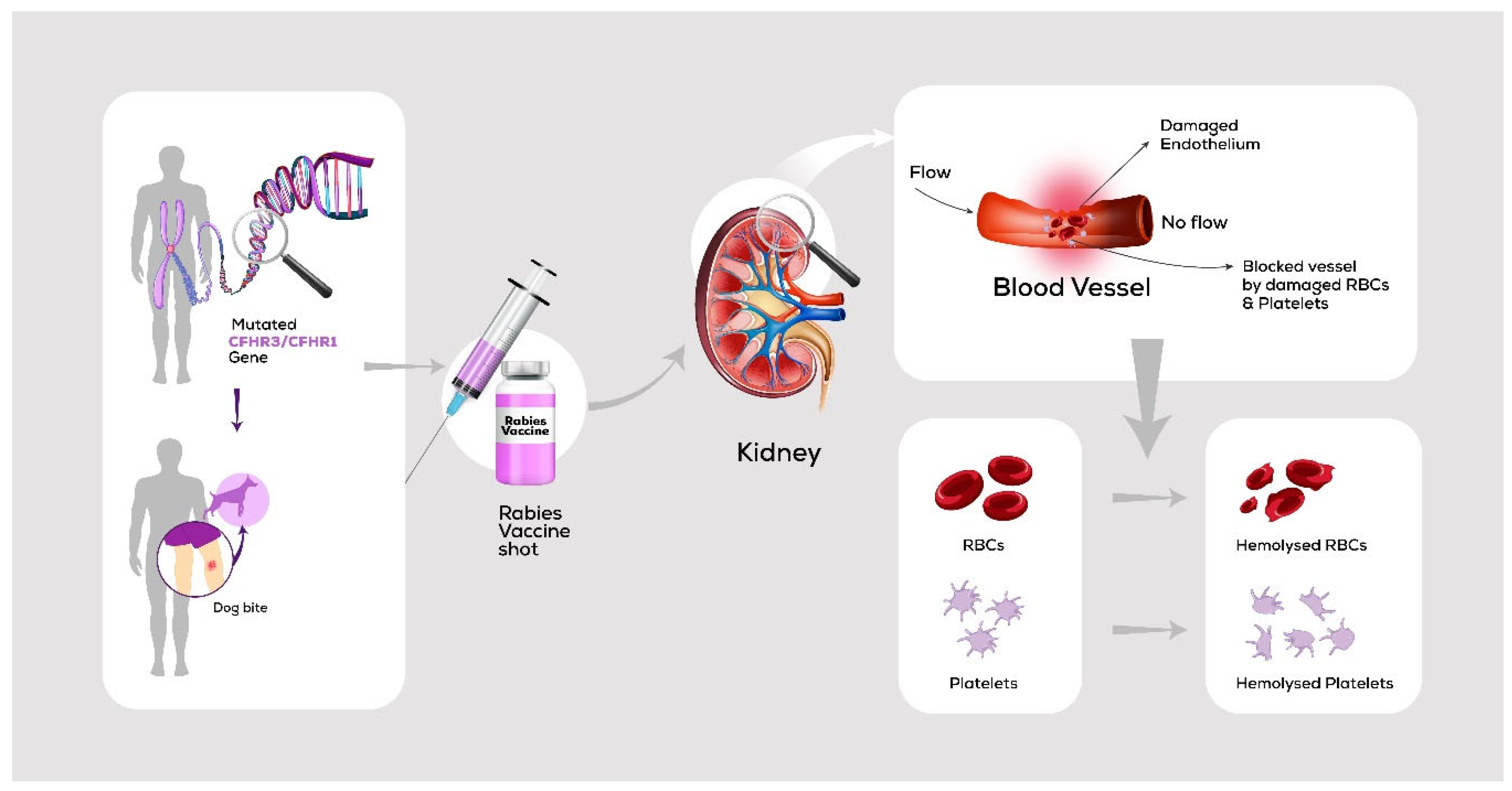 Preprints 160617 g001