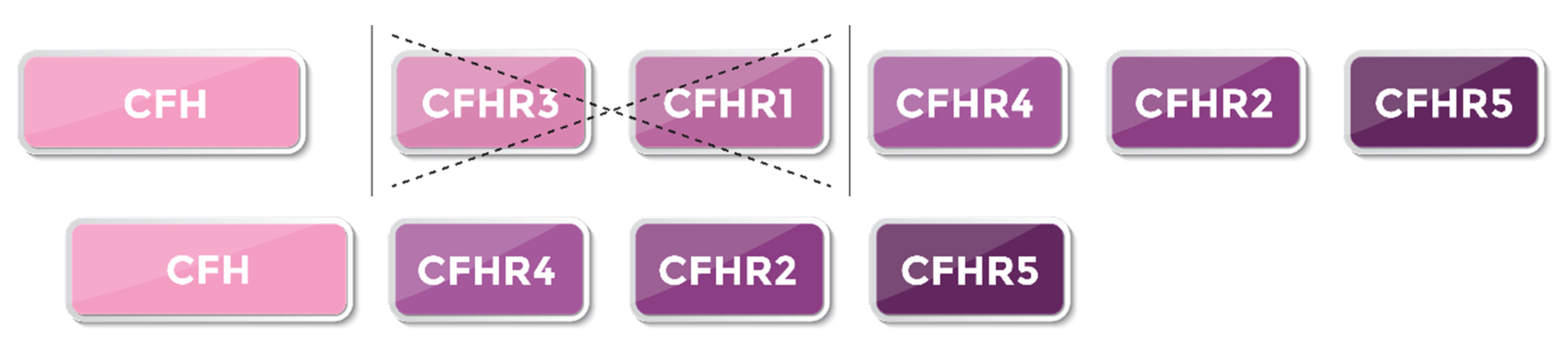 Preprints 160617 g004