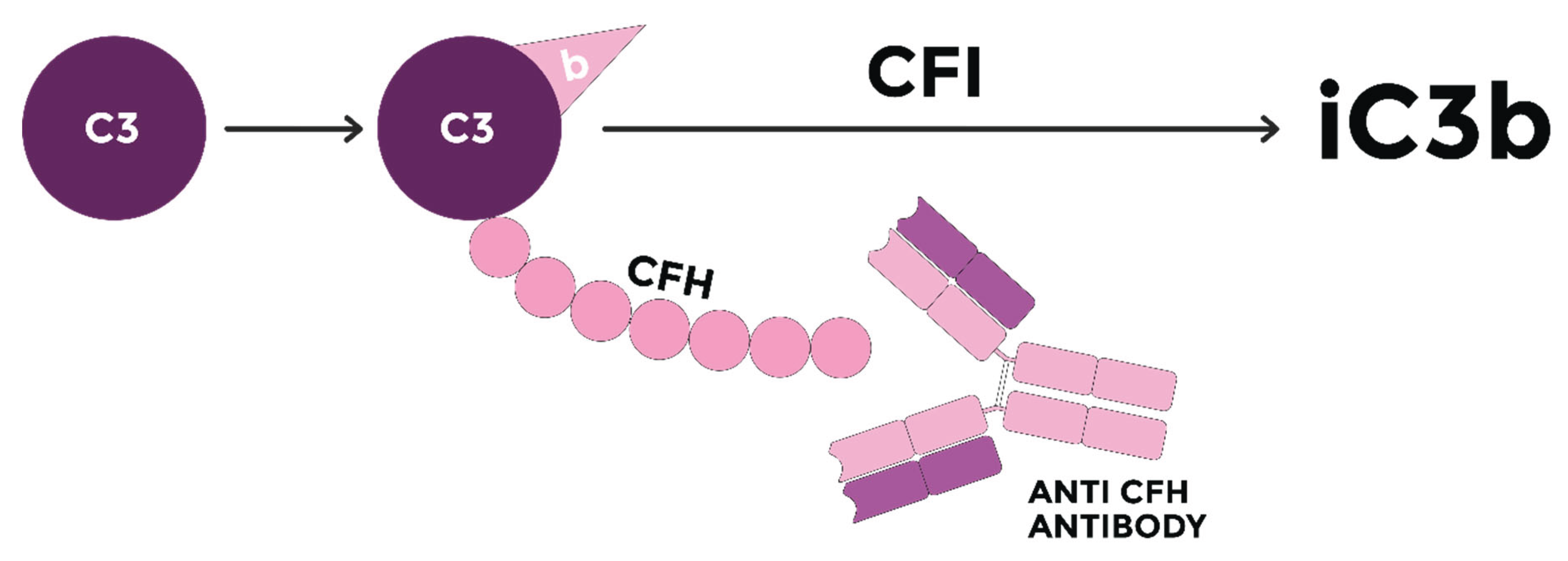 Preprints 160617 g005