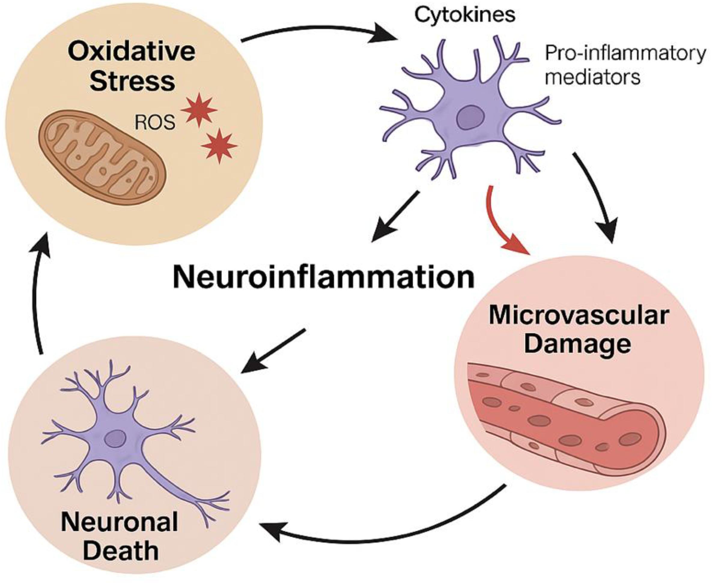 Preprints 184132 g002