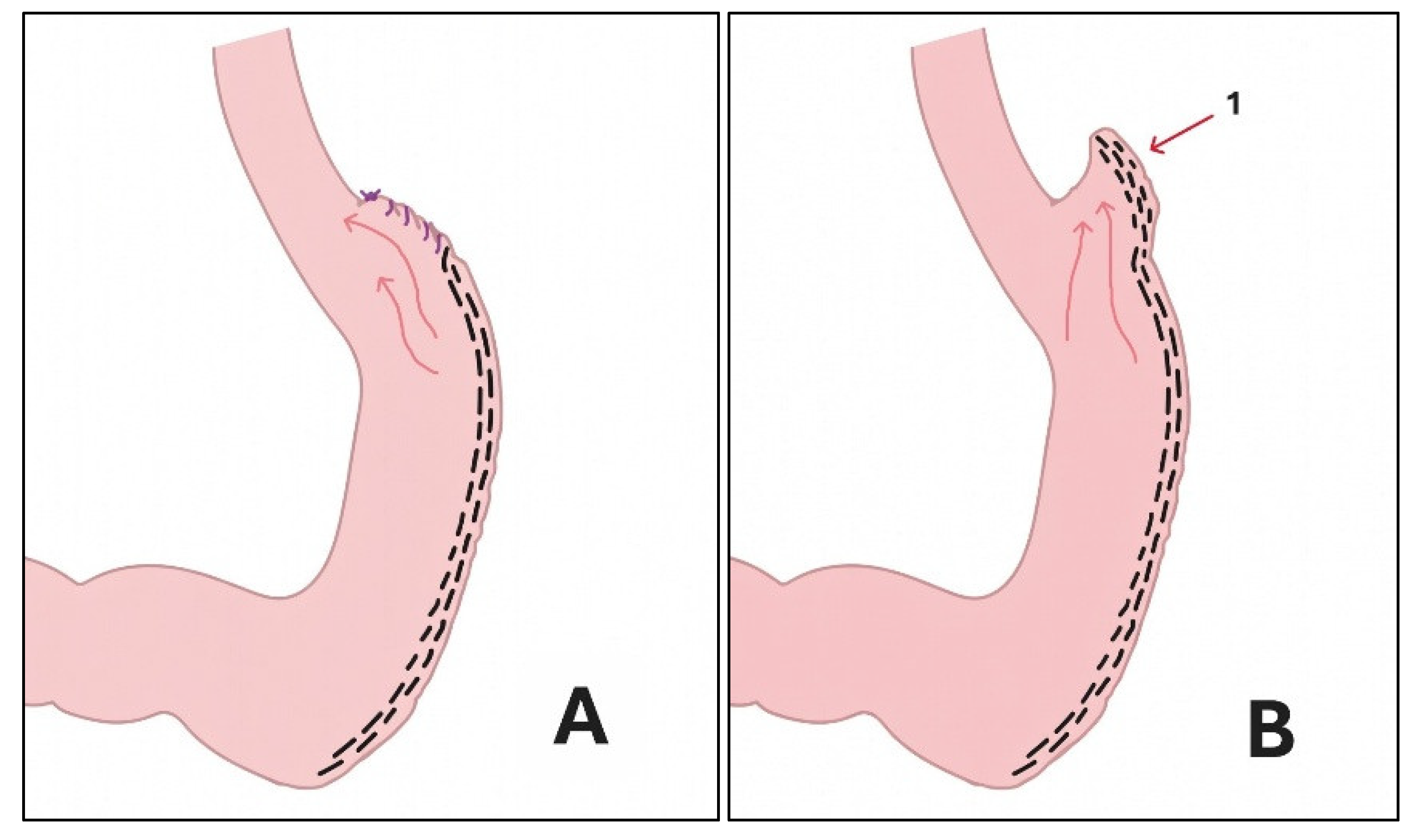 Preprints 208447 g001a