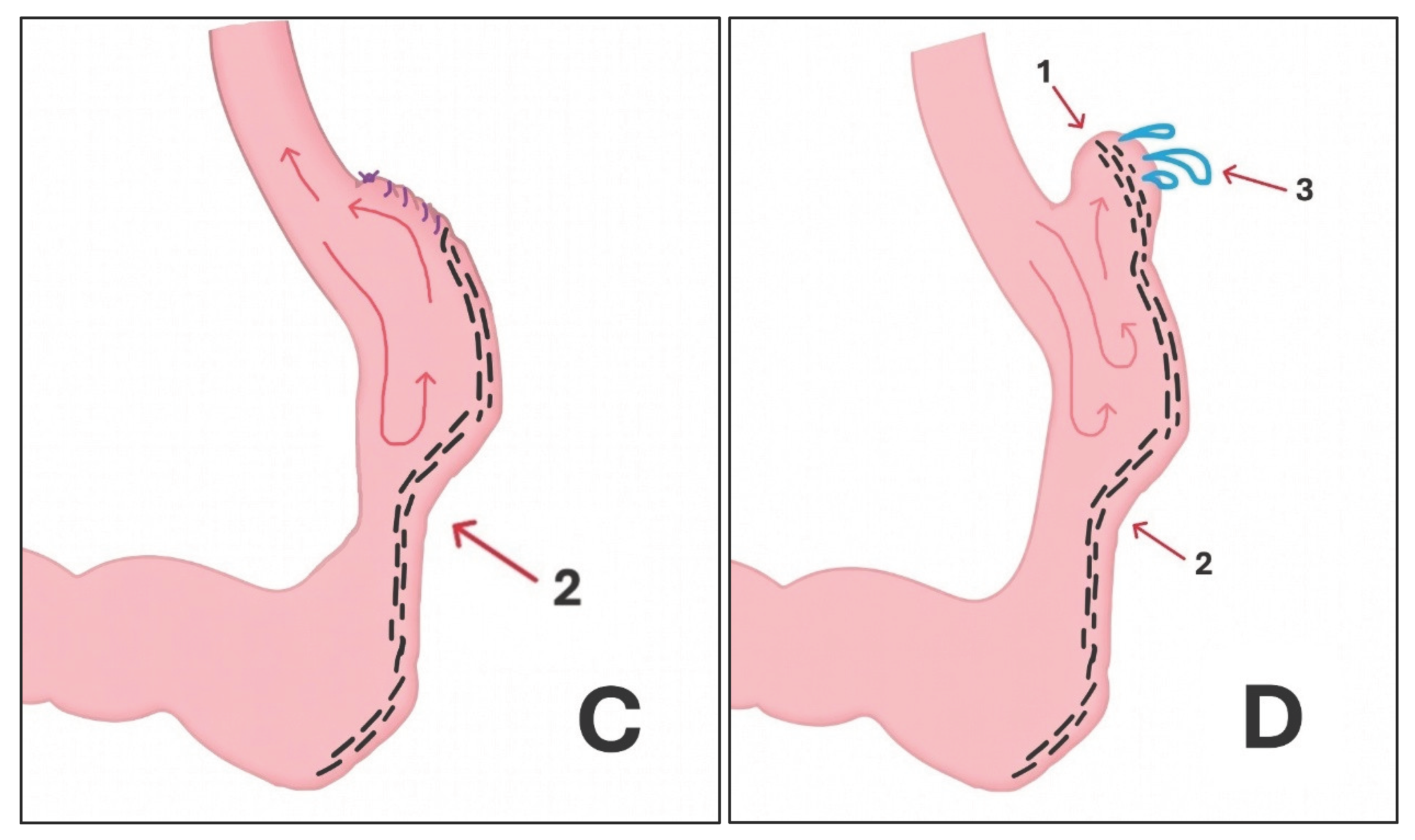 Preprints 208447 g001b