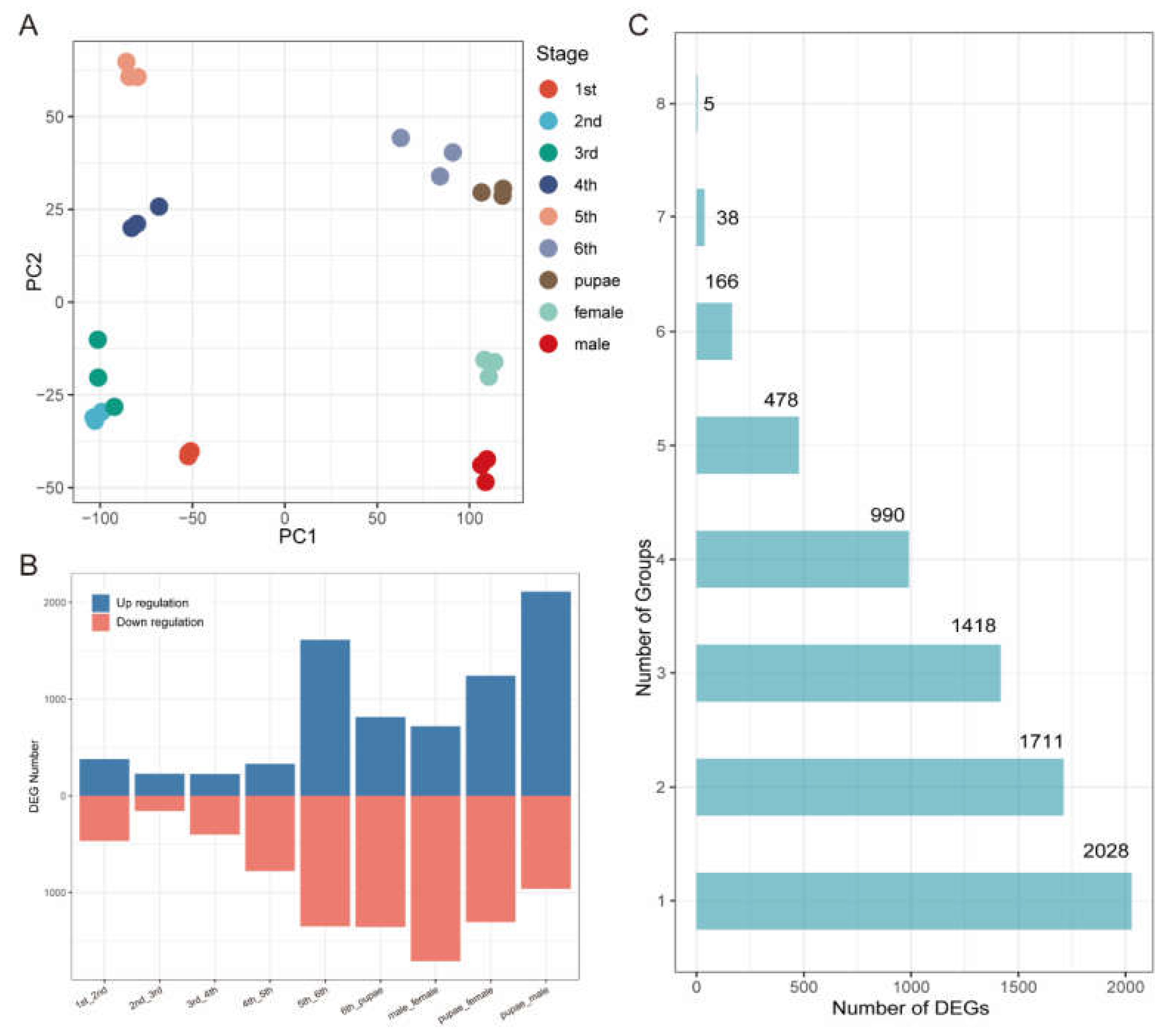 Preprints 139314 g001