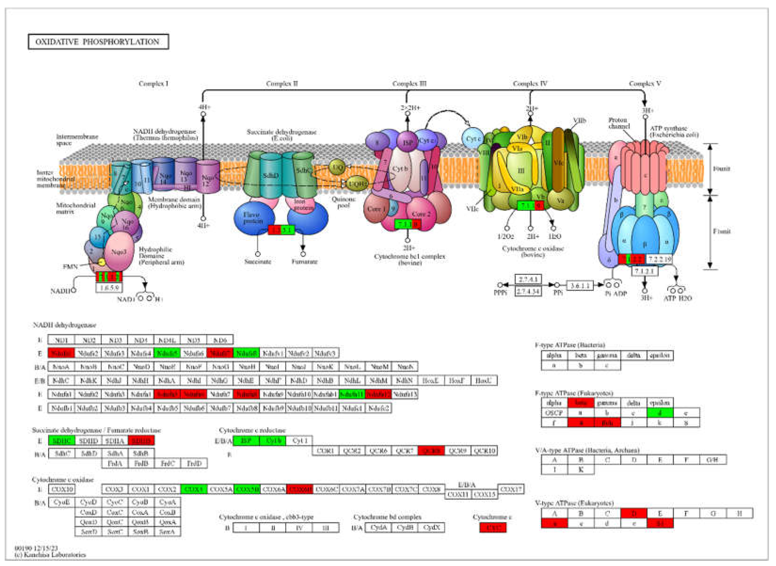 Preprints 139314 g006