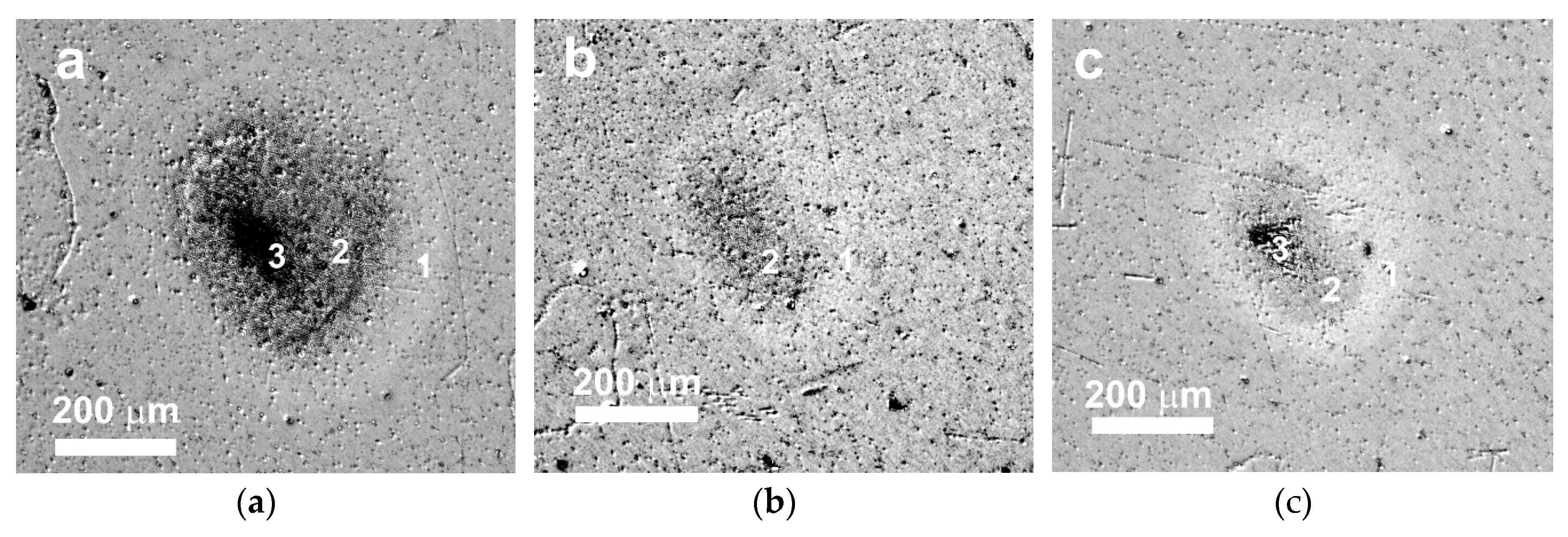 Preprints 85024 g002