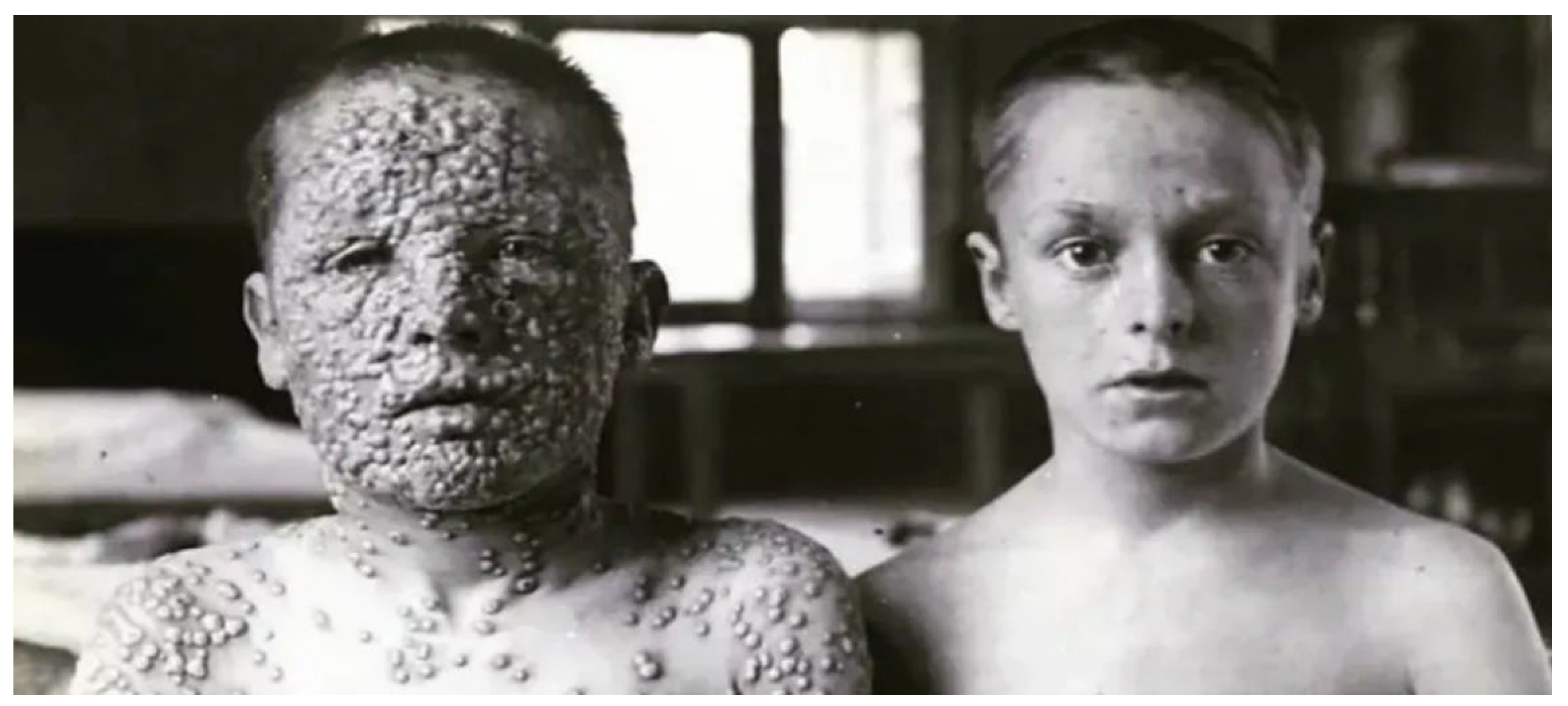 Preprints 139681 g006