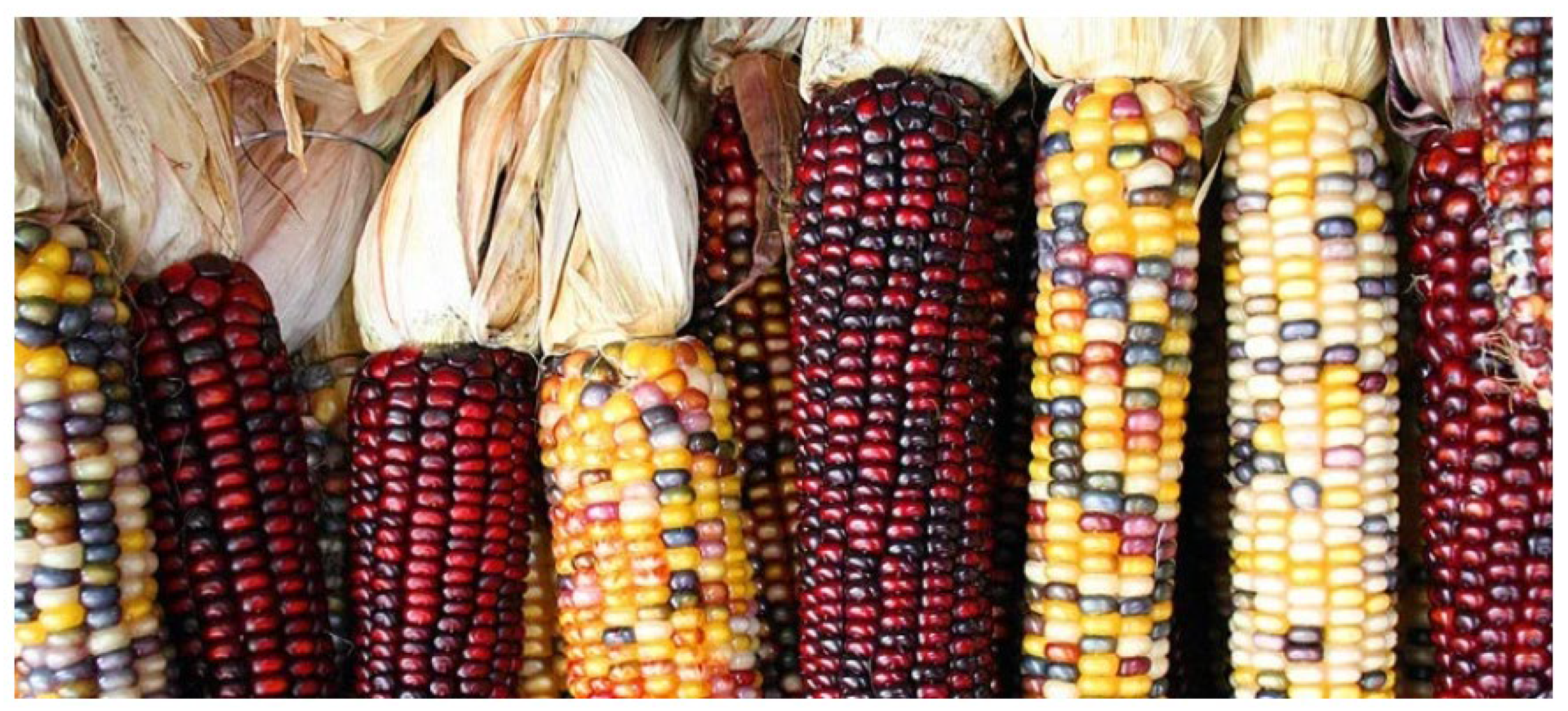 Preprints 139681 g007