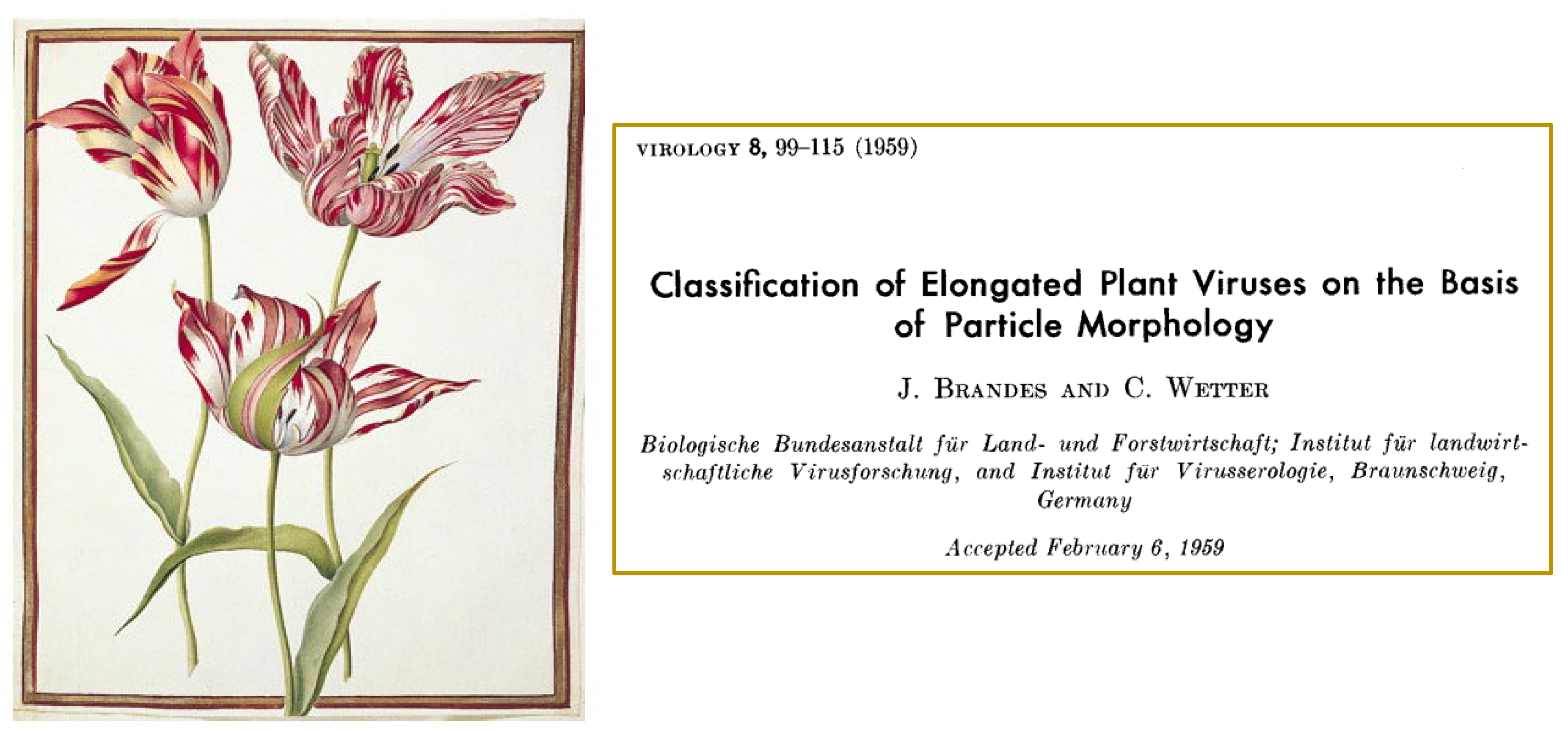 Preprints 139681 g008