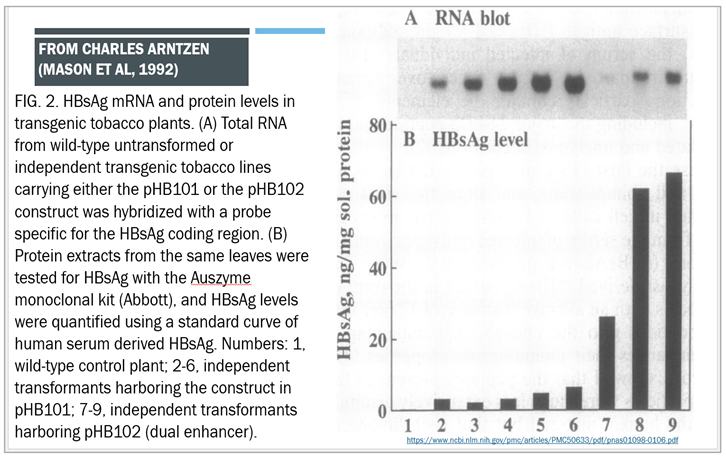 Preprints 139681 i001