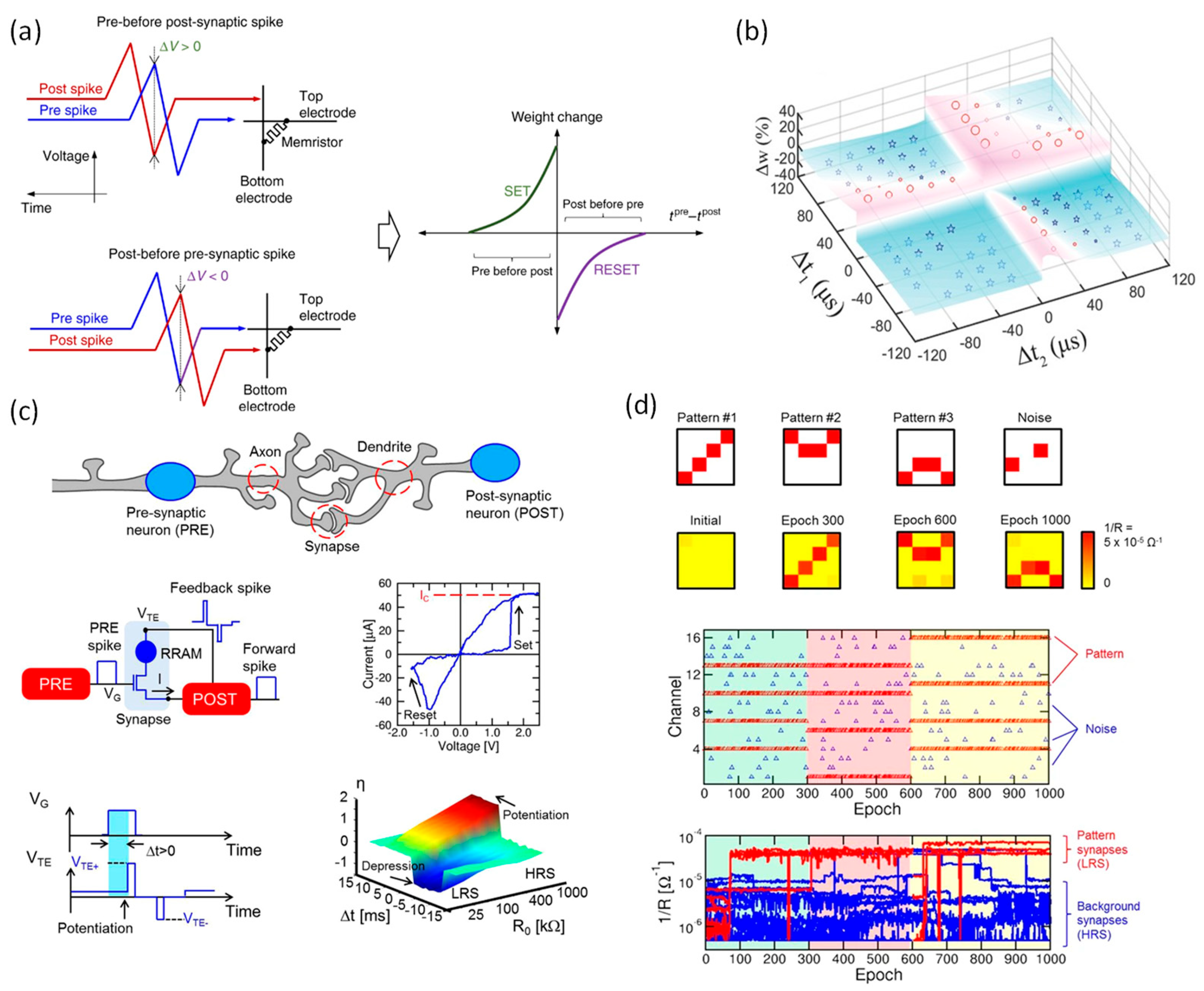 Preprints 204122 g010