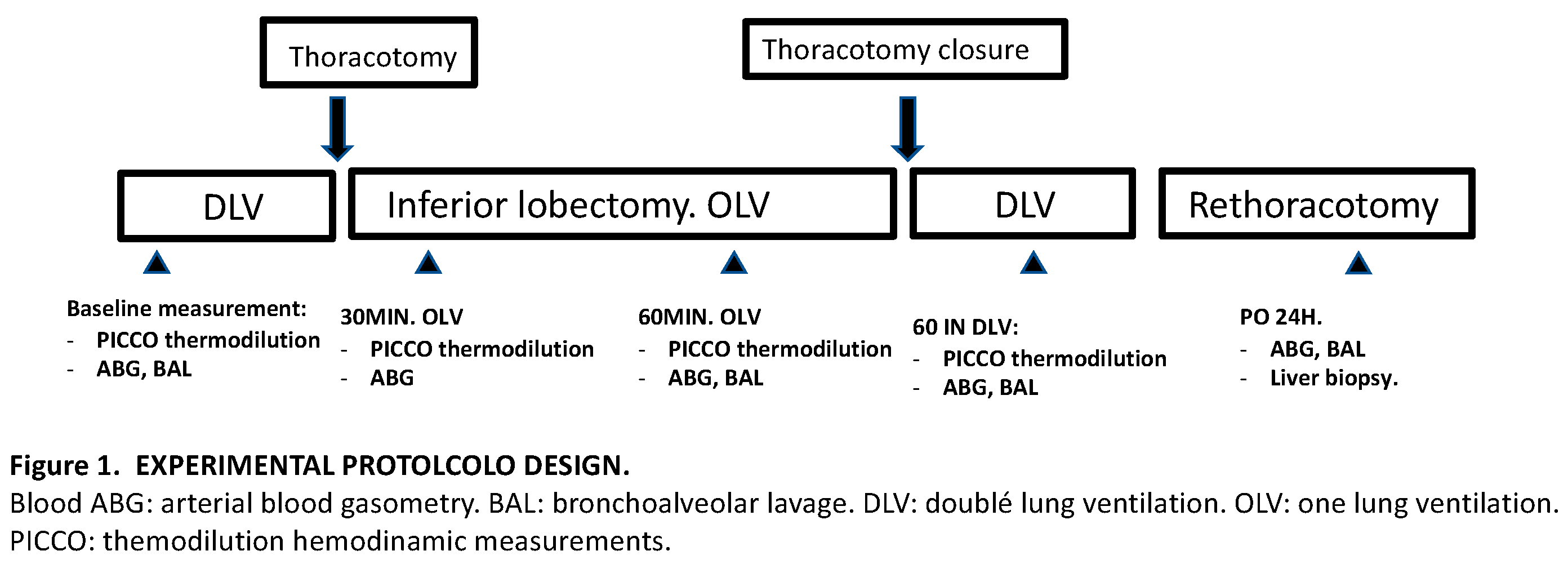 Preprints 174462 g001