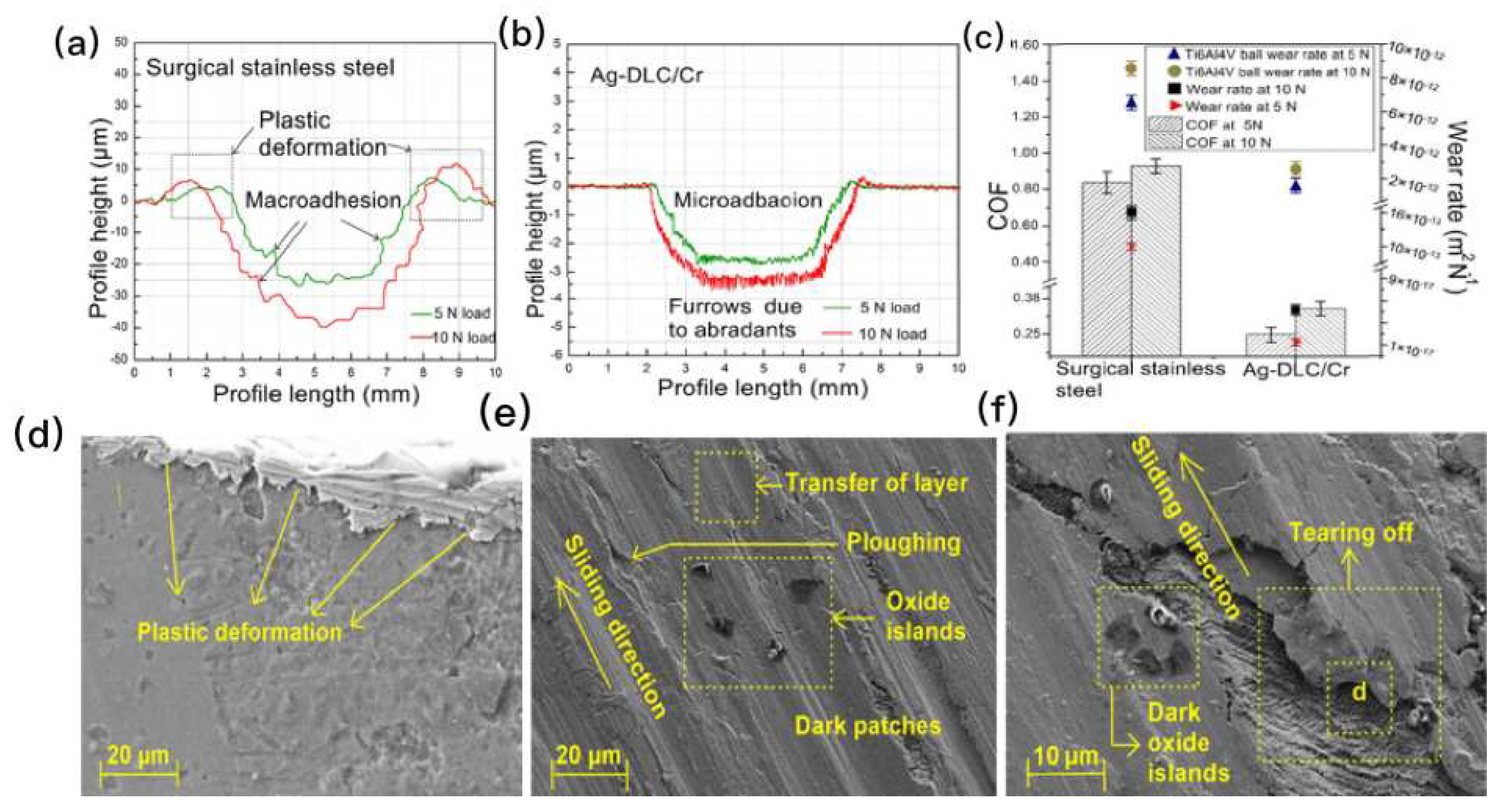 Preprints 90205 g003