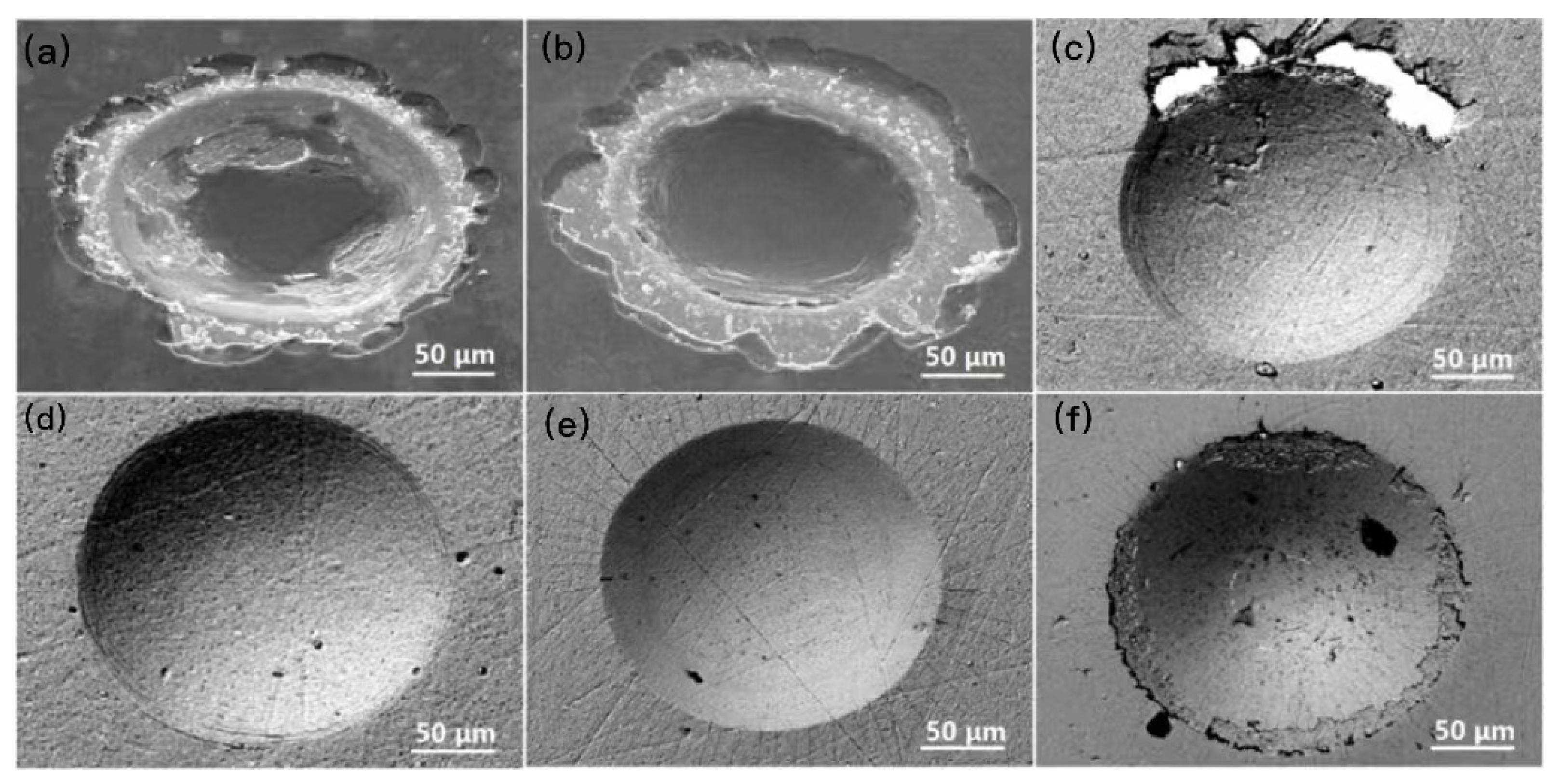 Preprints 90205 g005