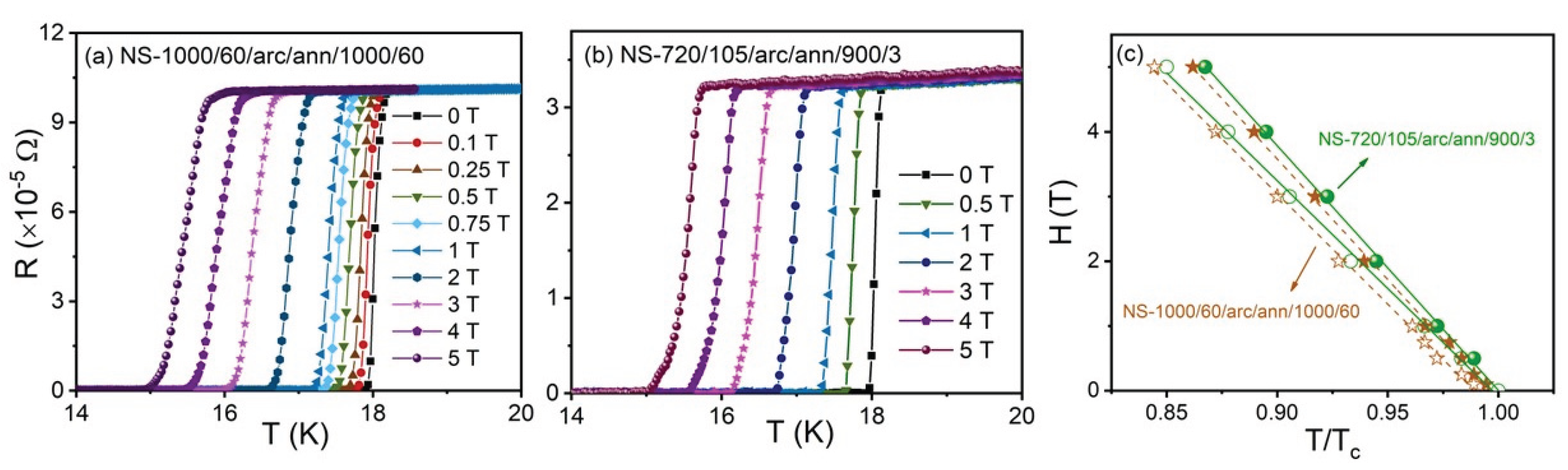 Preprints 161098 g006