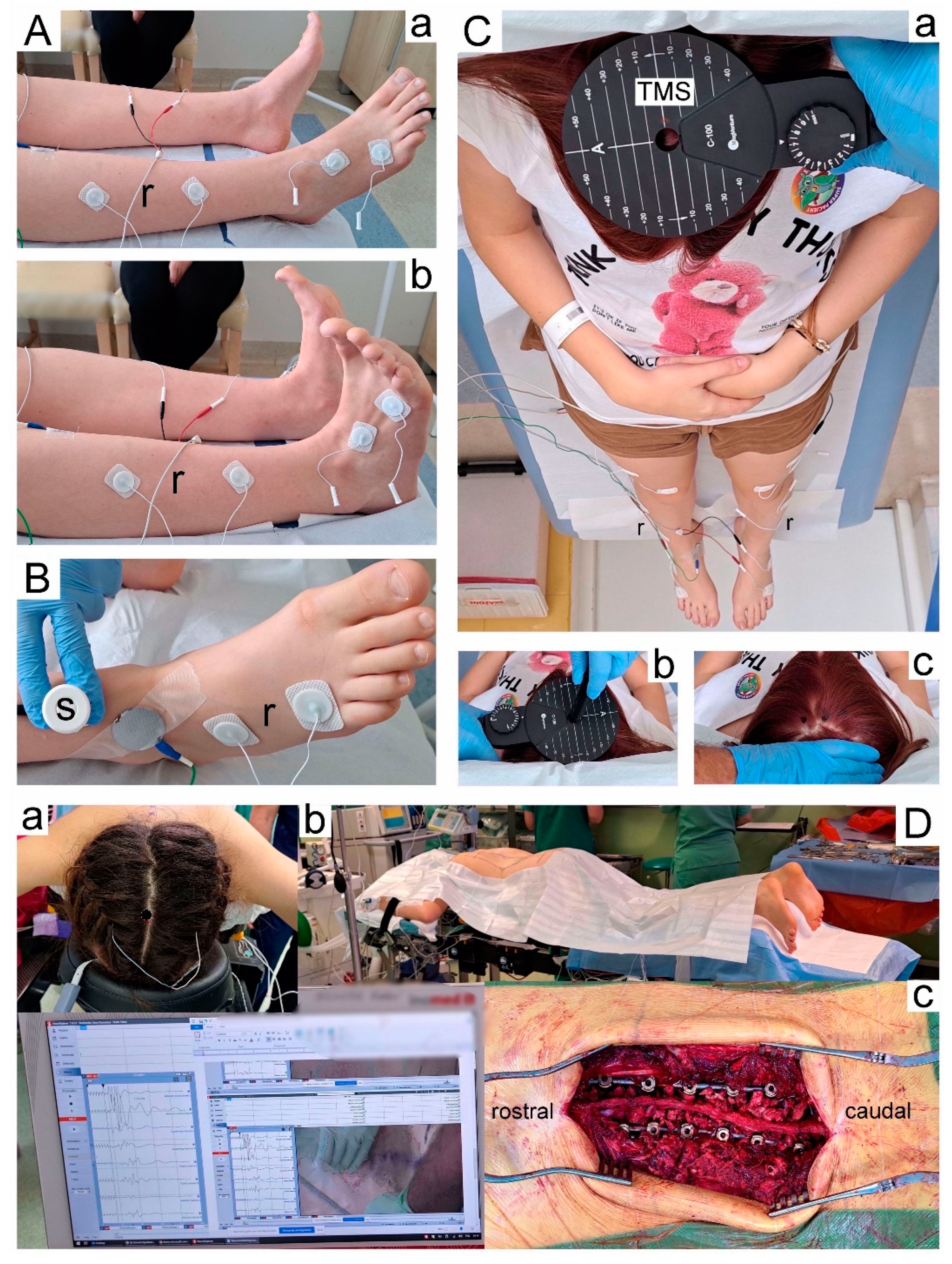 Preprints 89867 g001