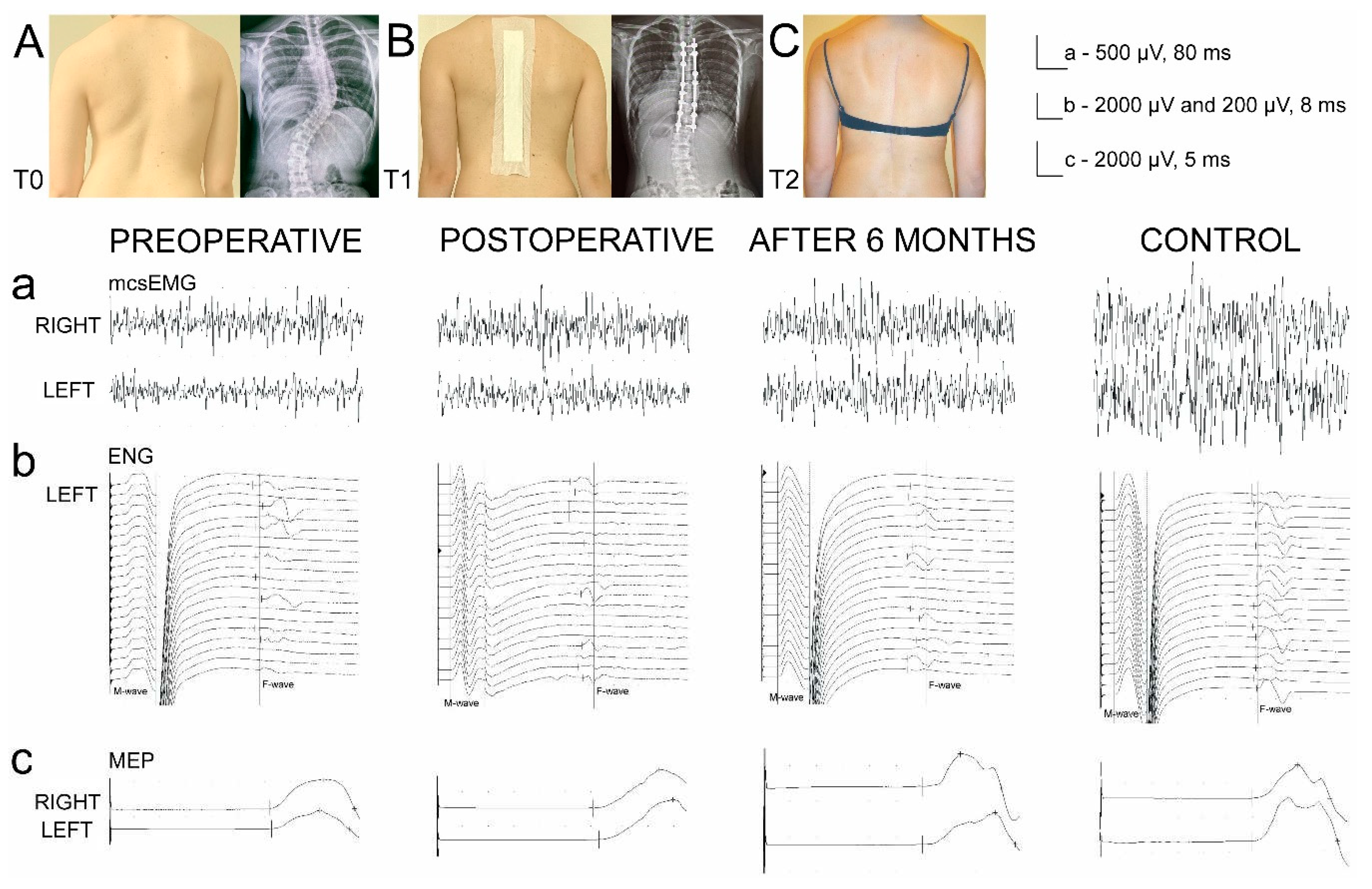 Preprints 89867 g002
