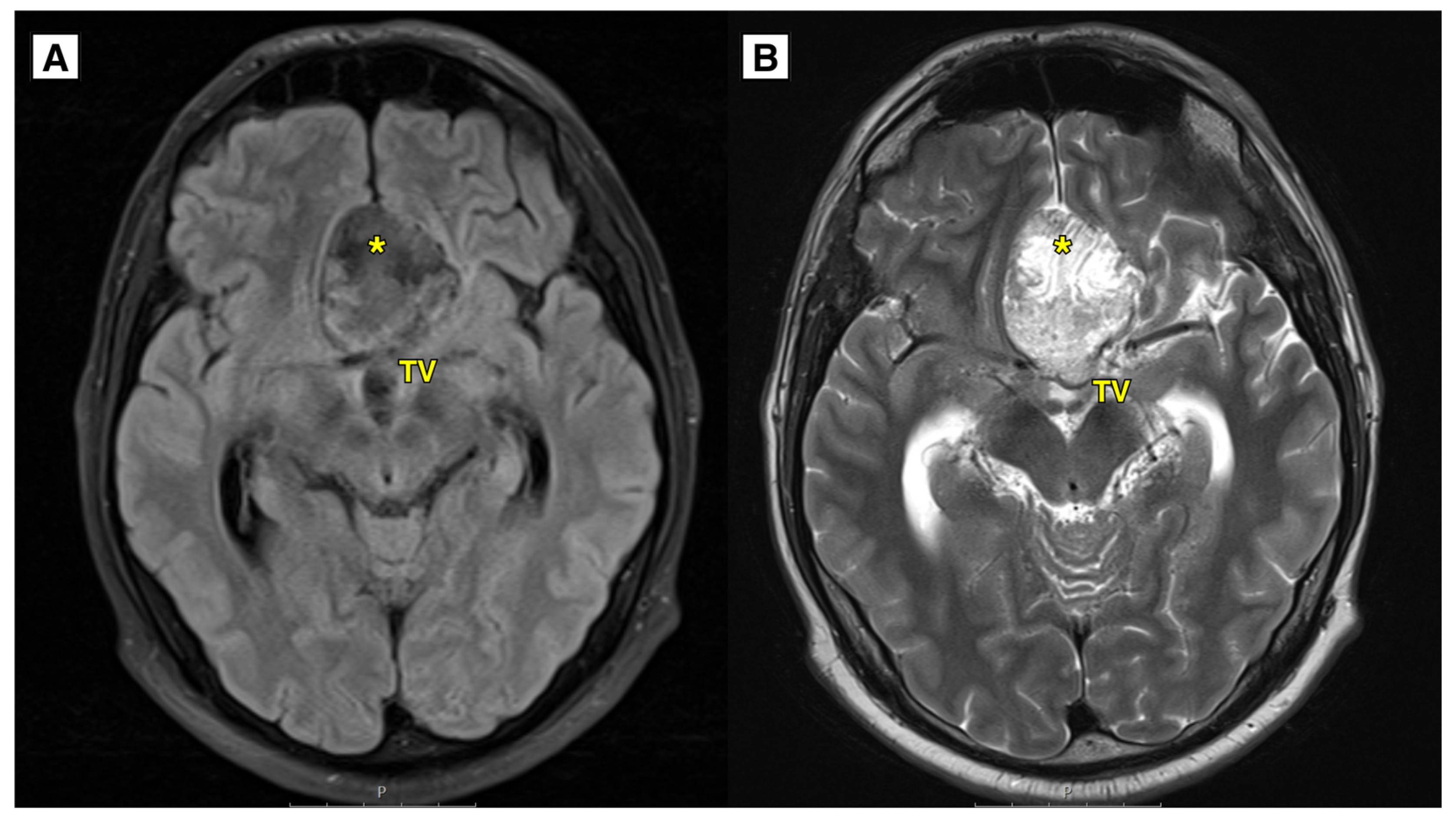 Preprints 149023 g001