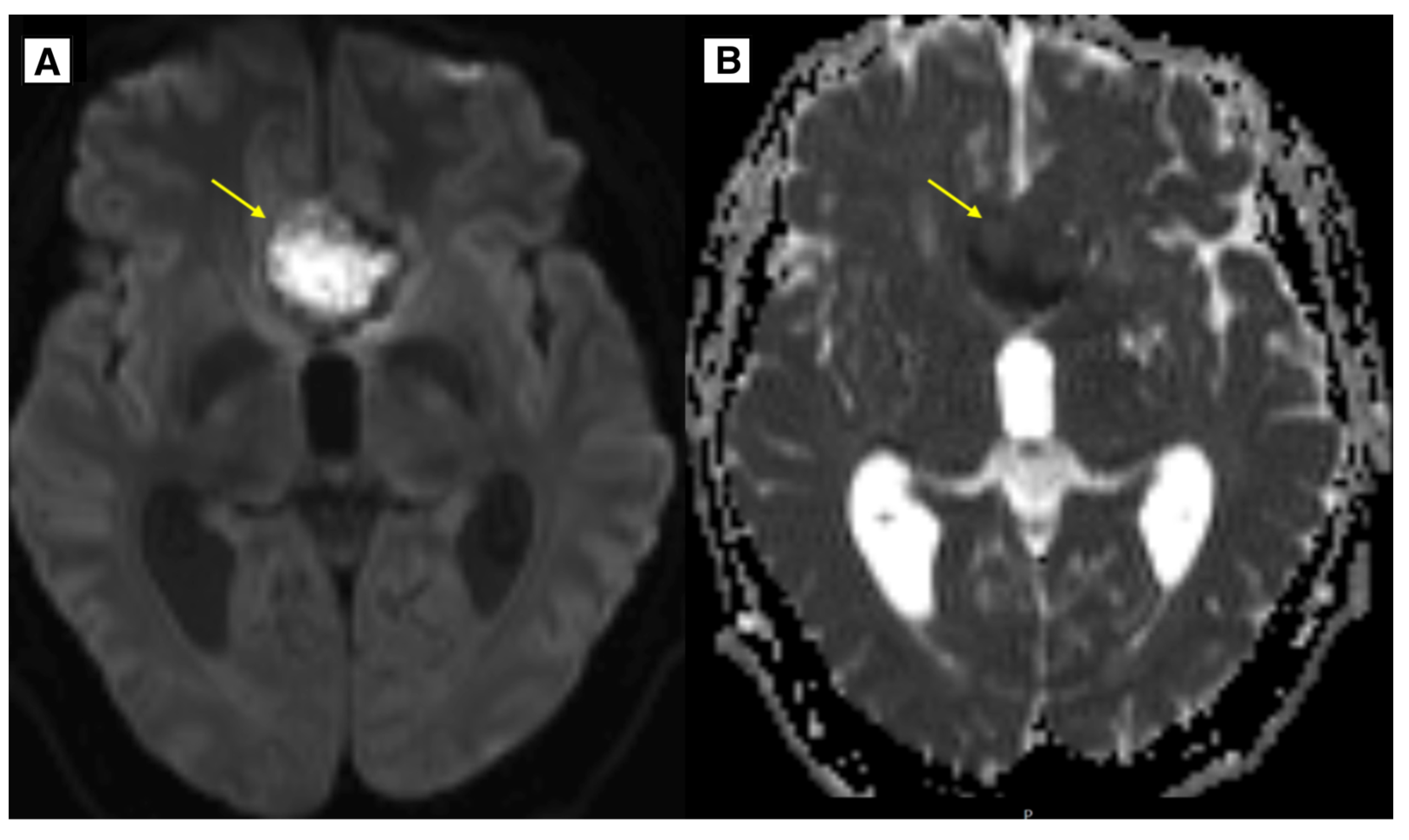 Preprints 149023 g004