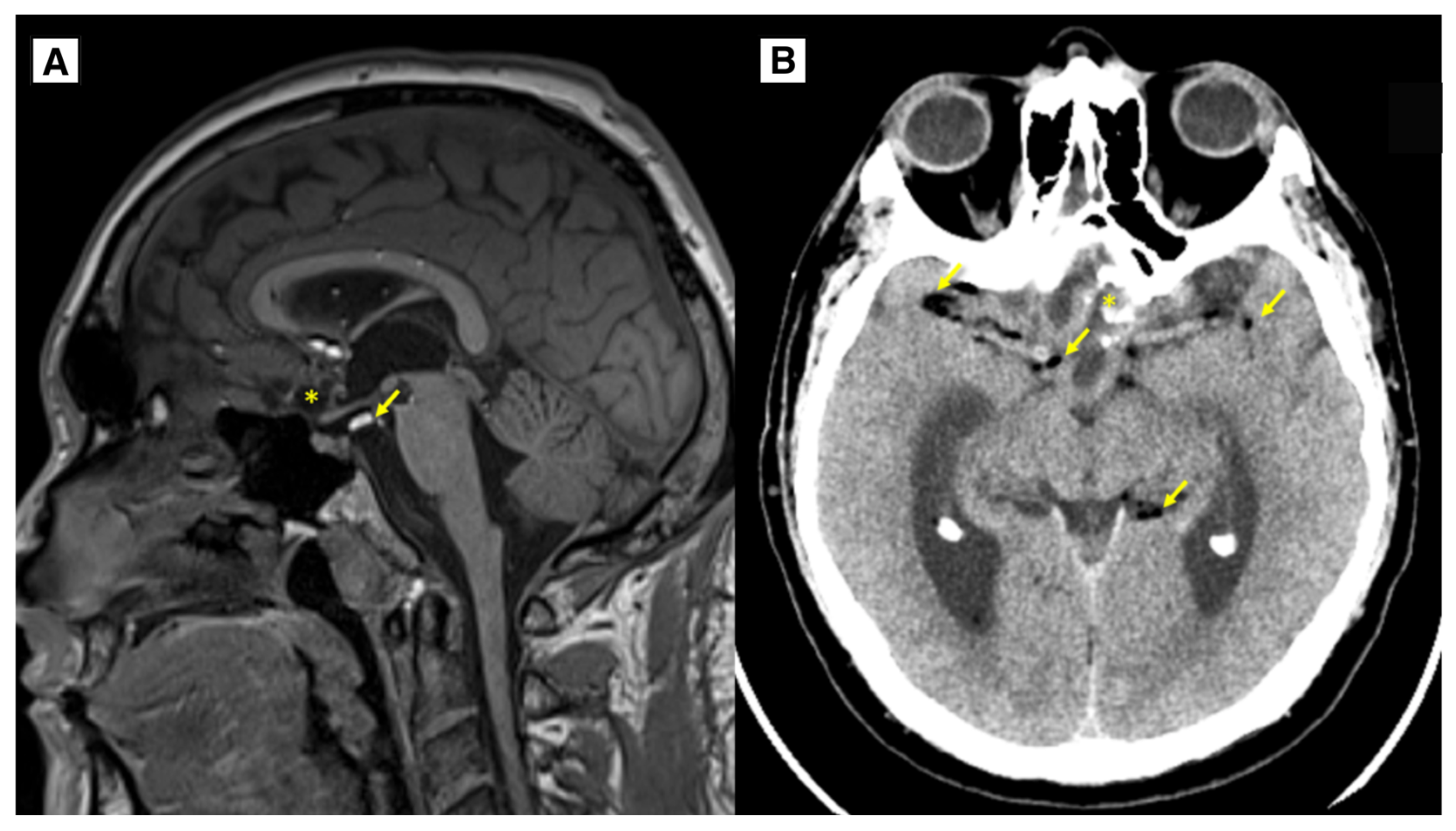 Preprints 149023 g005