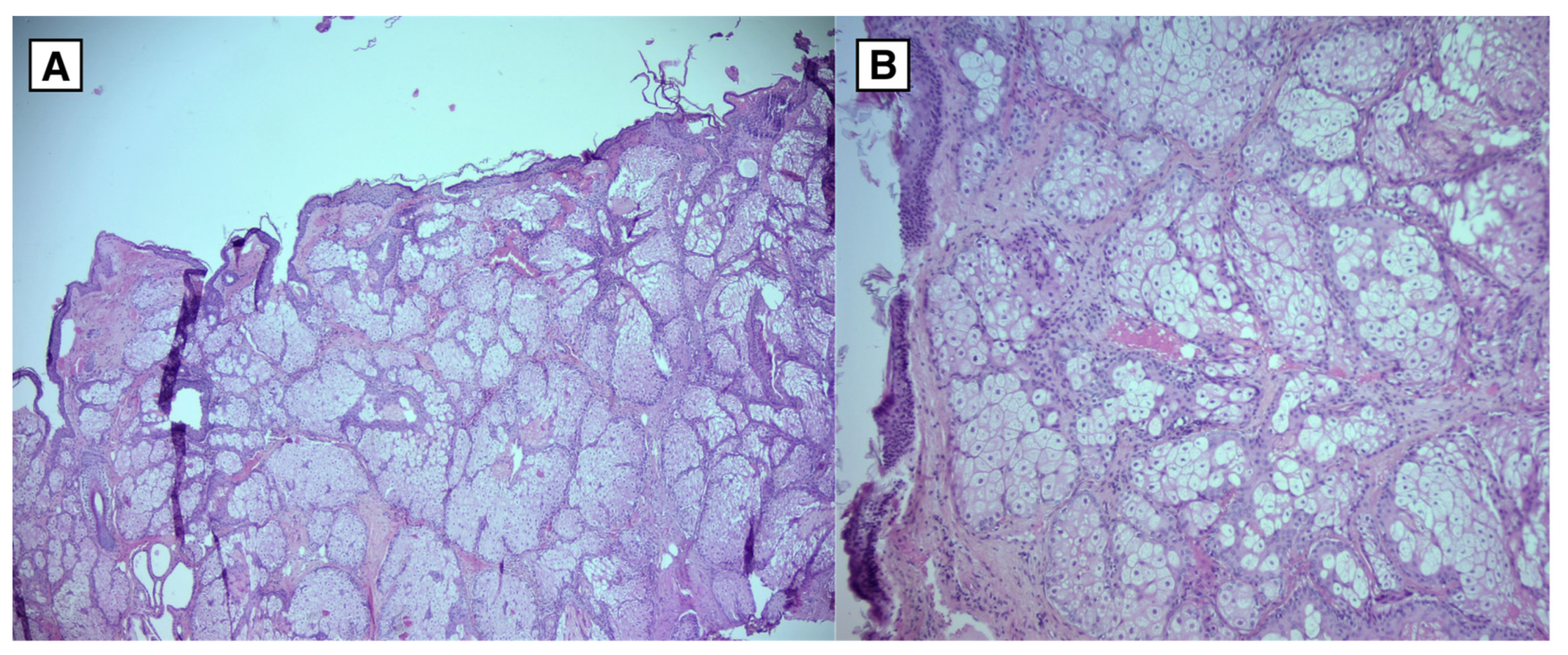 Preprints 149023 g006