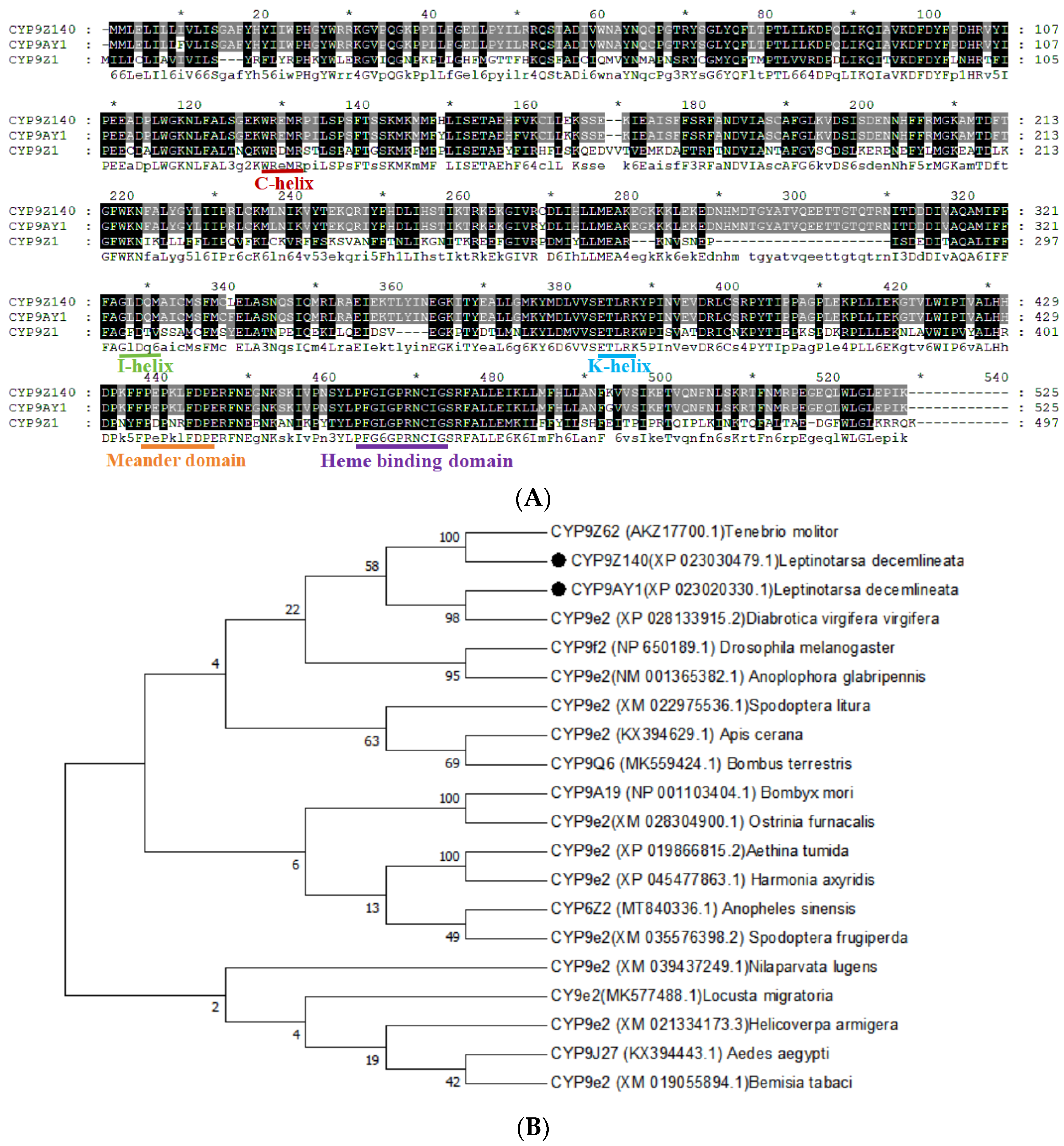 Preprints 109308 g004