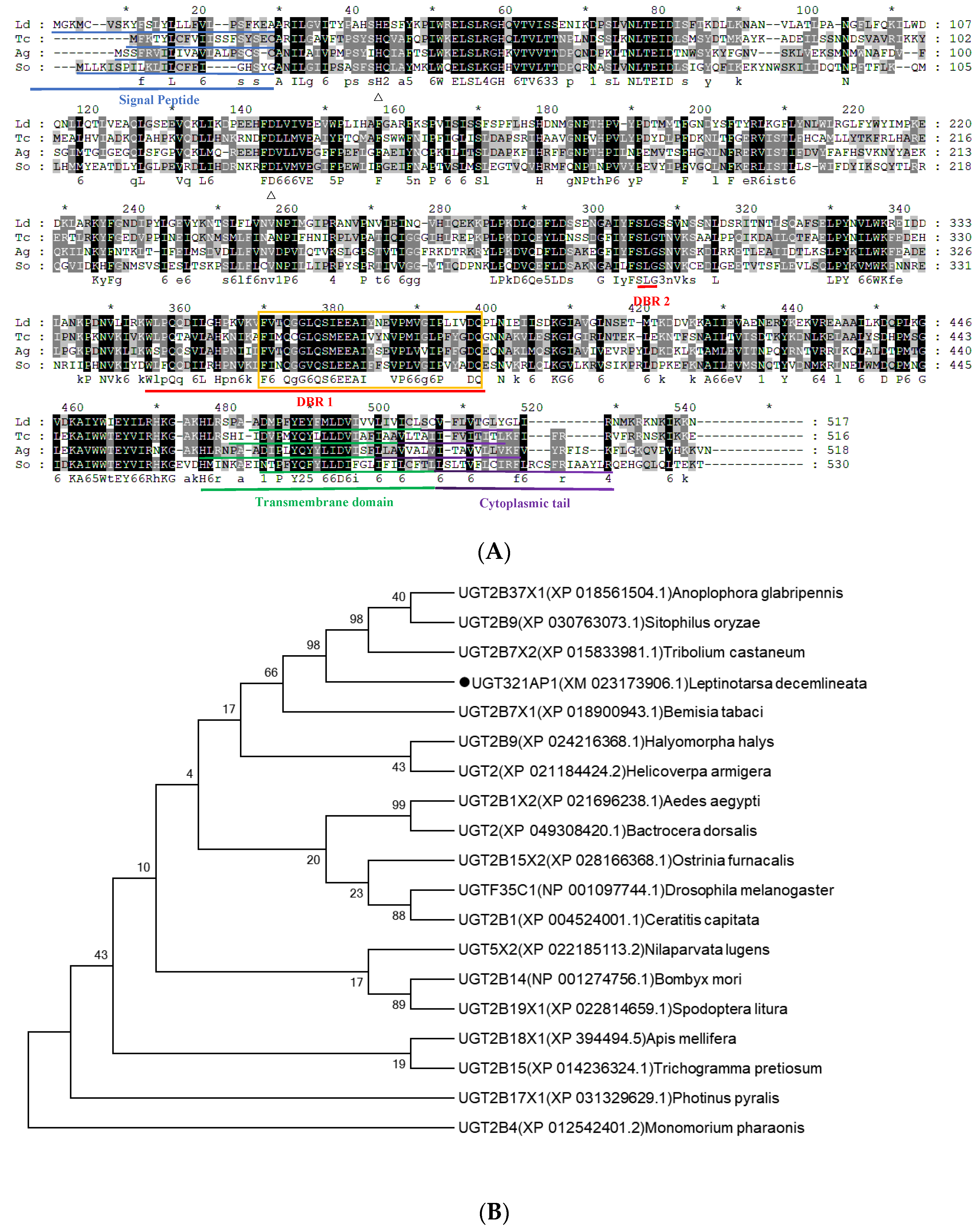 Preprints 109308 g005