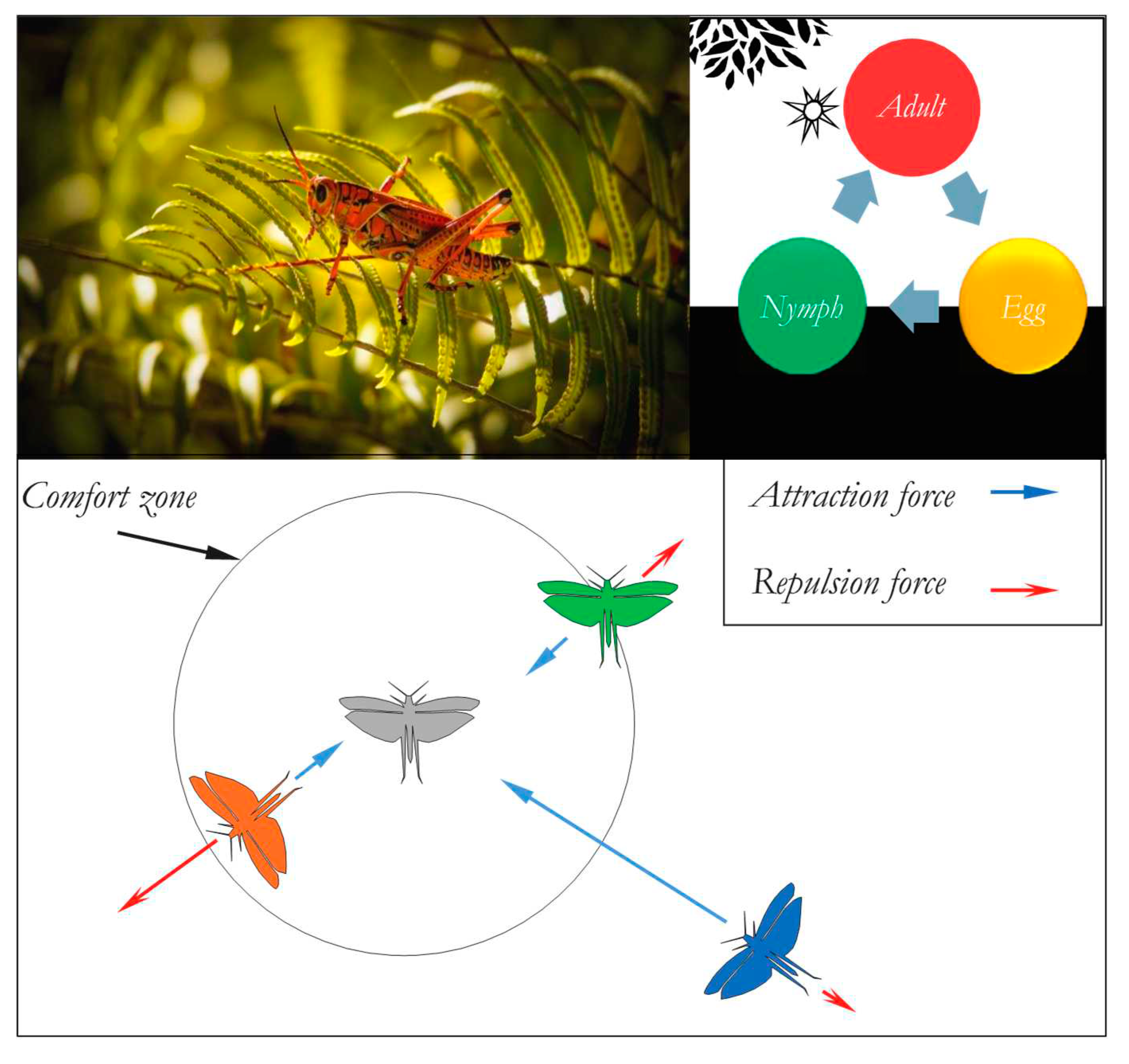 Preprints 82054 g003