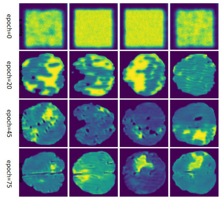 Preprints 222705 g012