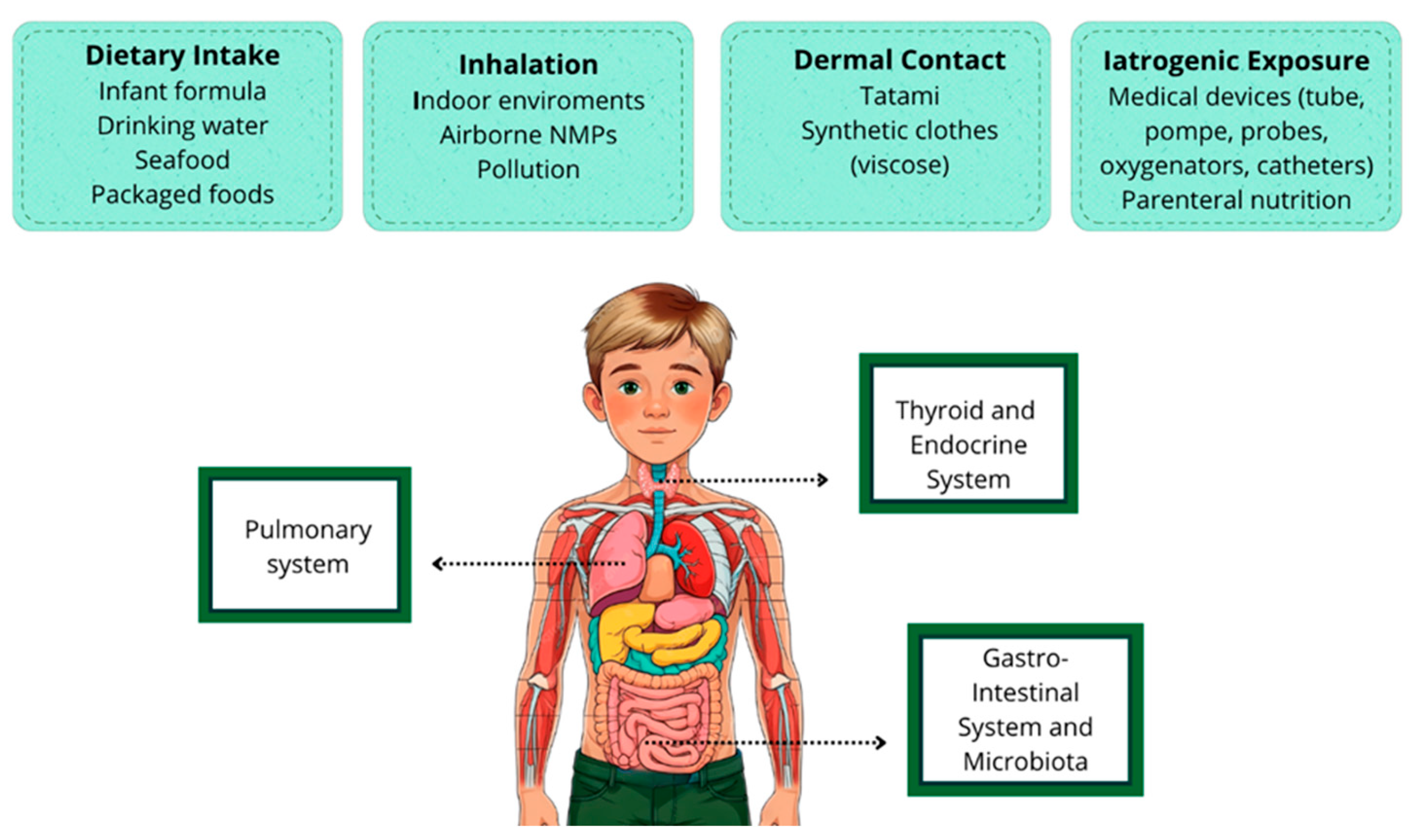Preprints 172978 g001