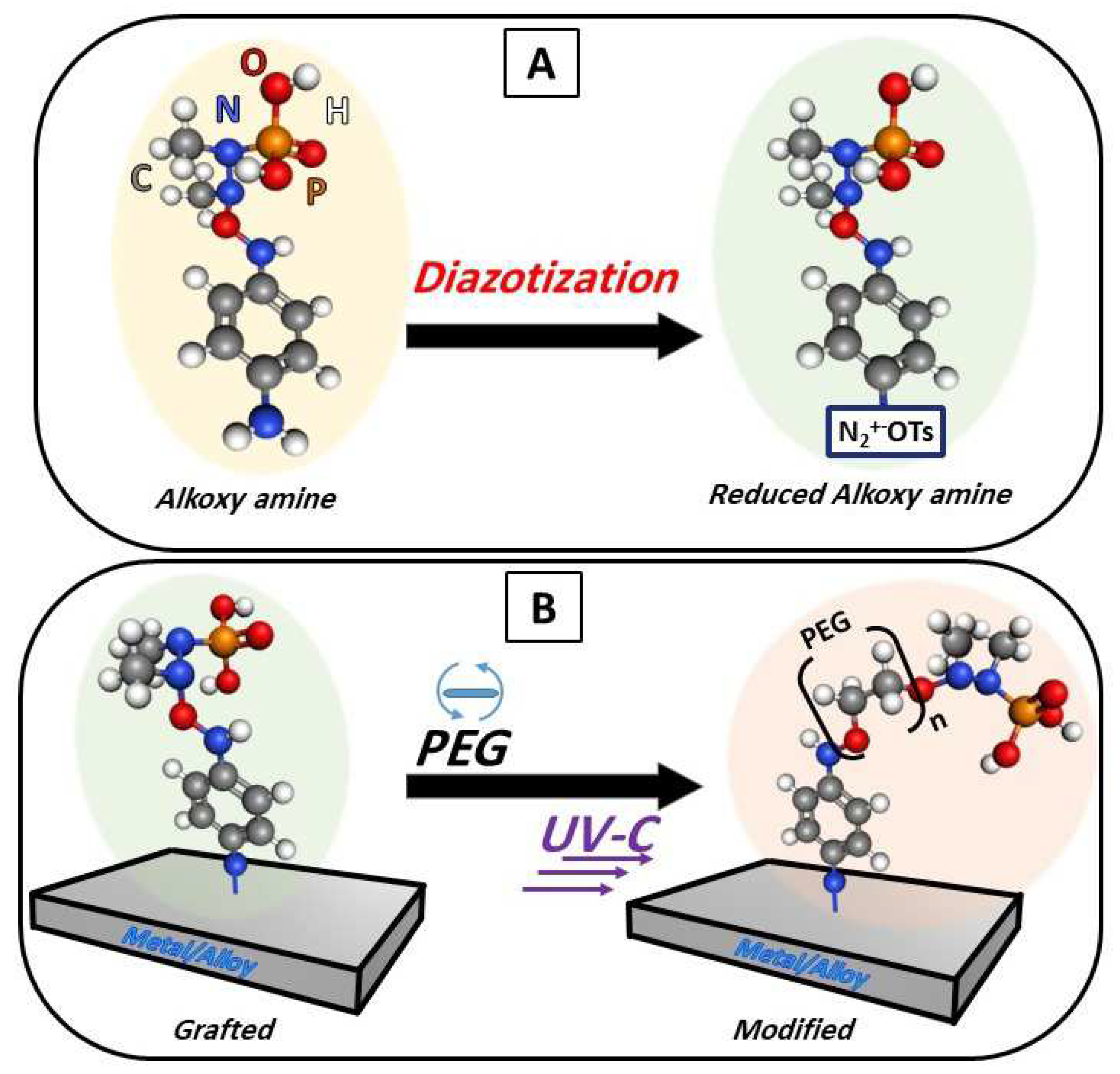 Preprints 98027 g001