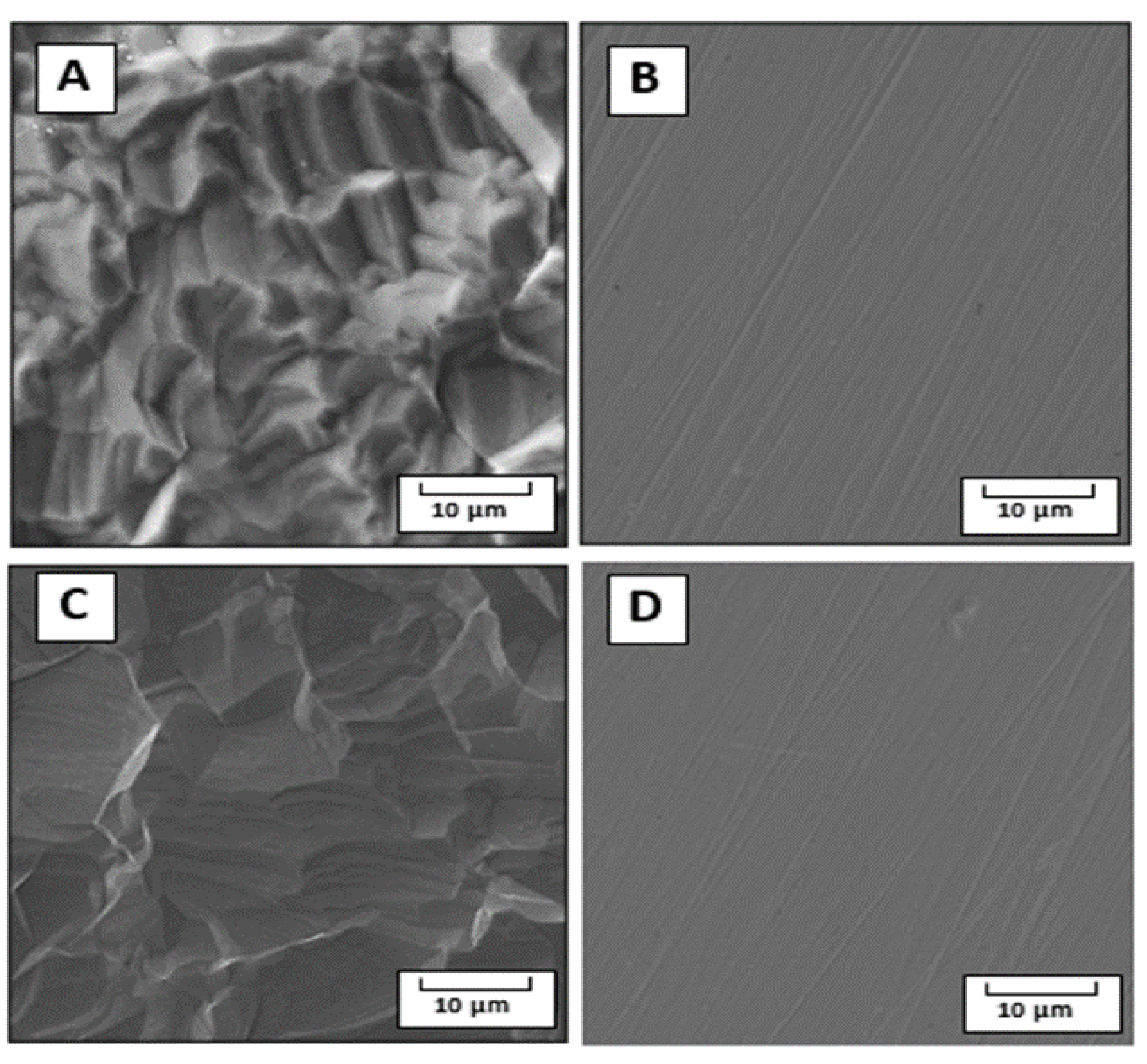 Preprints 98027 g003