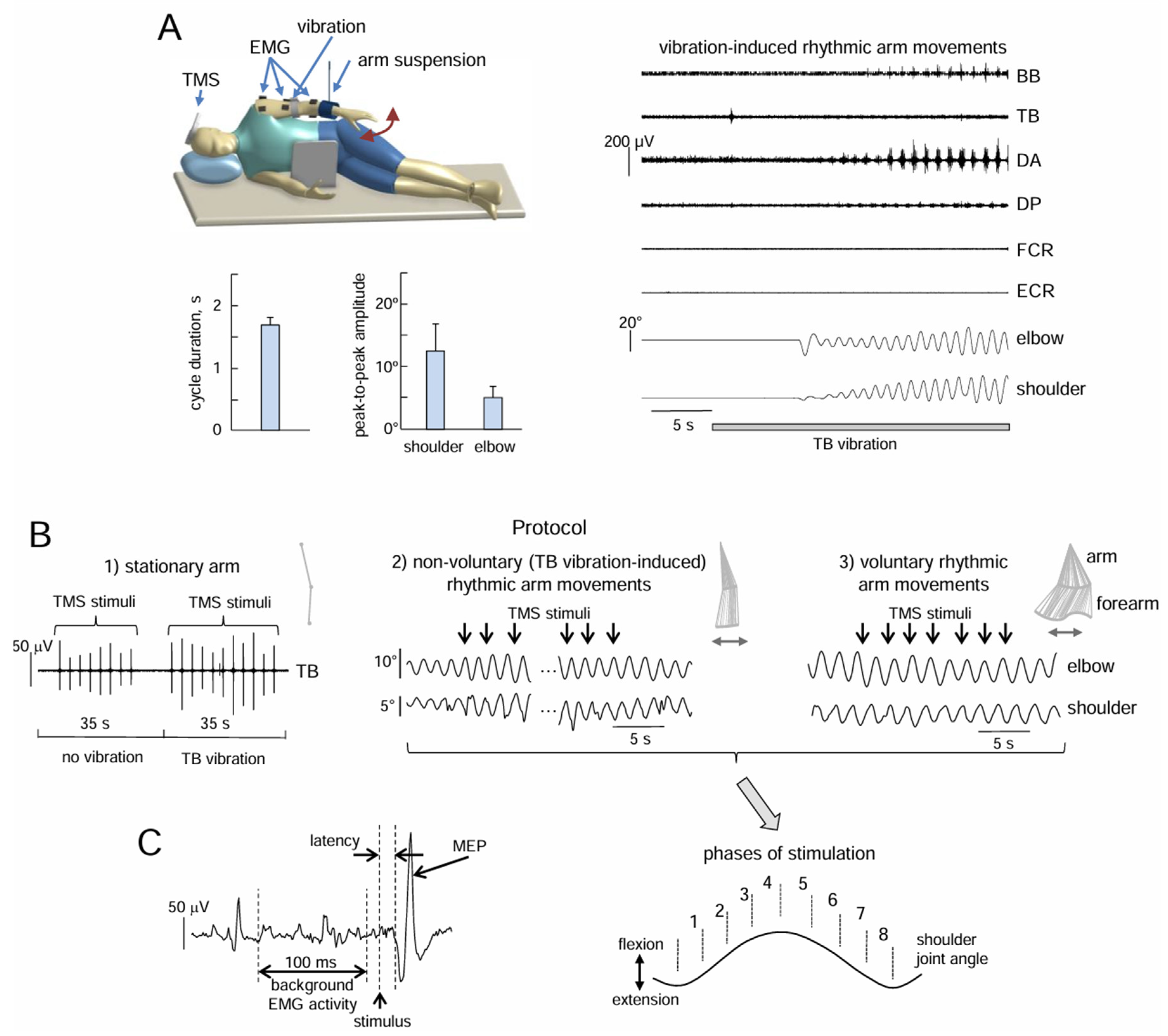 Preprints 157654 g001