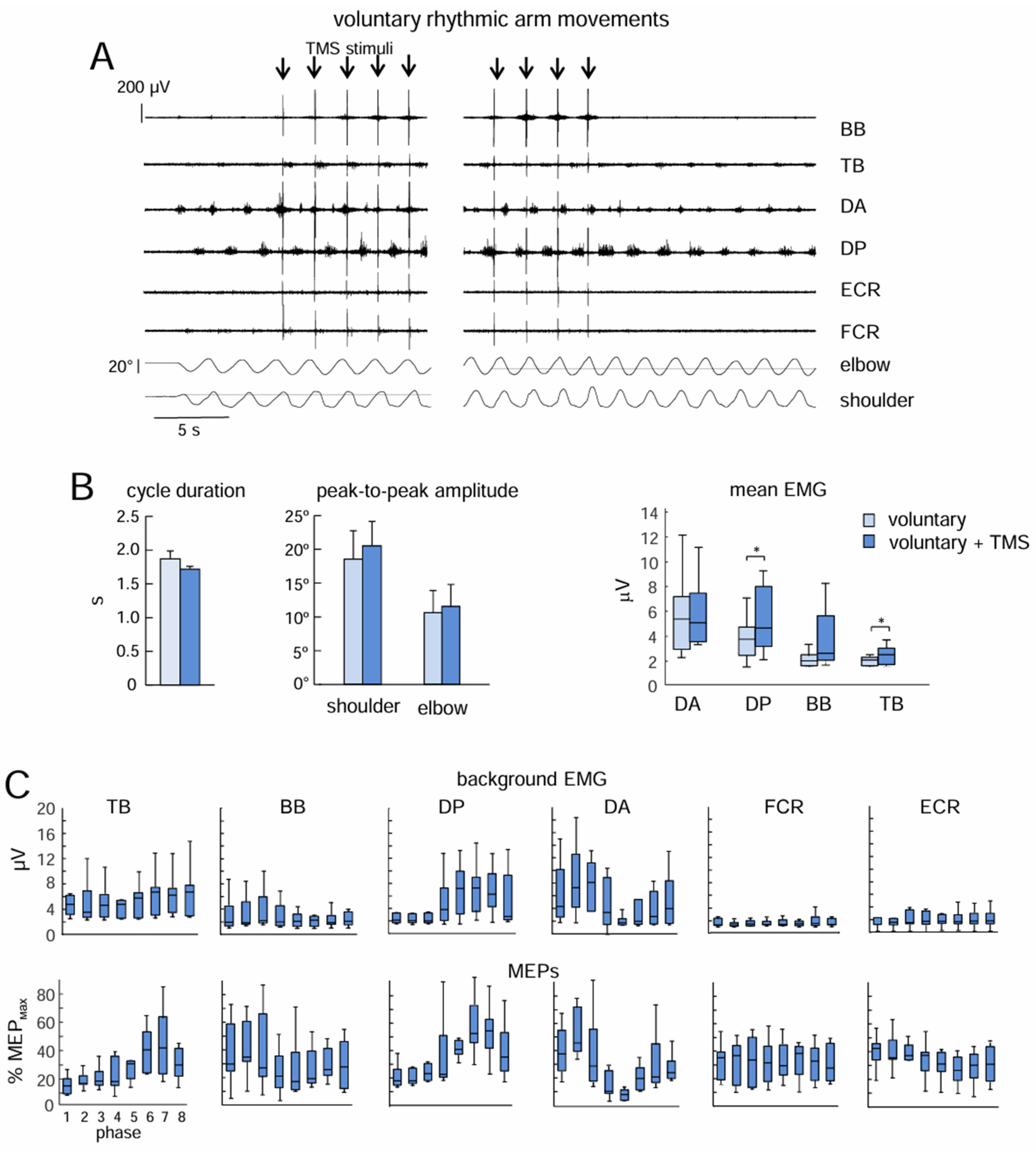 Preprints 157654 g004