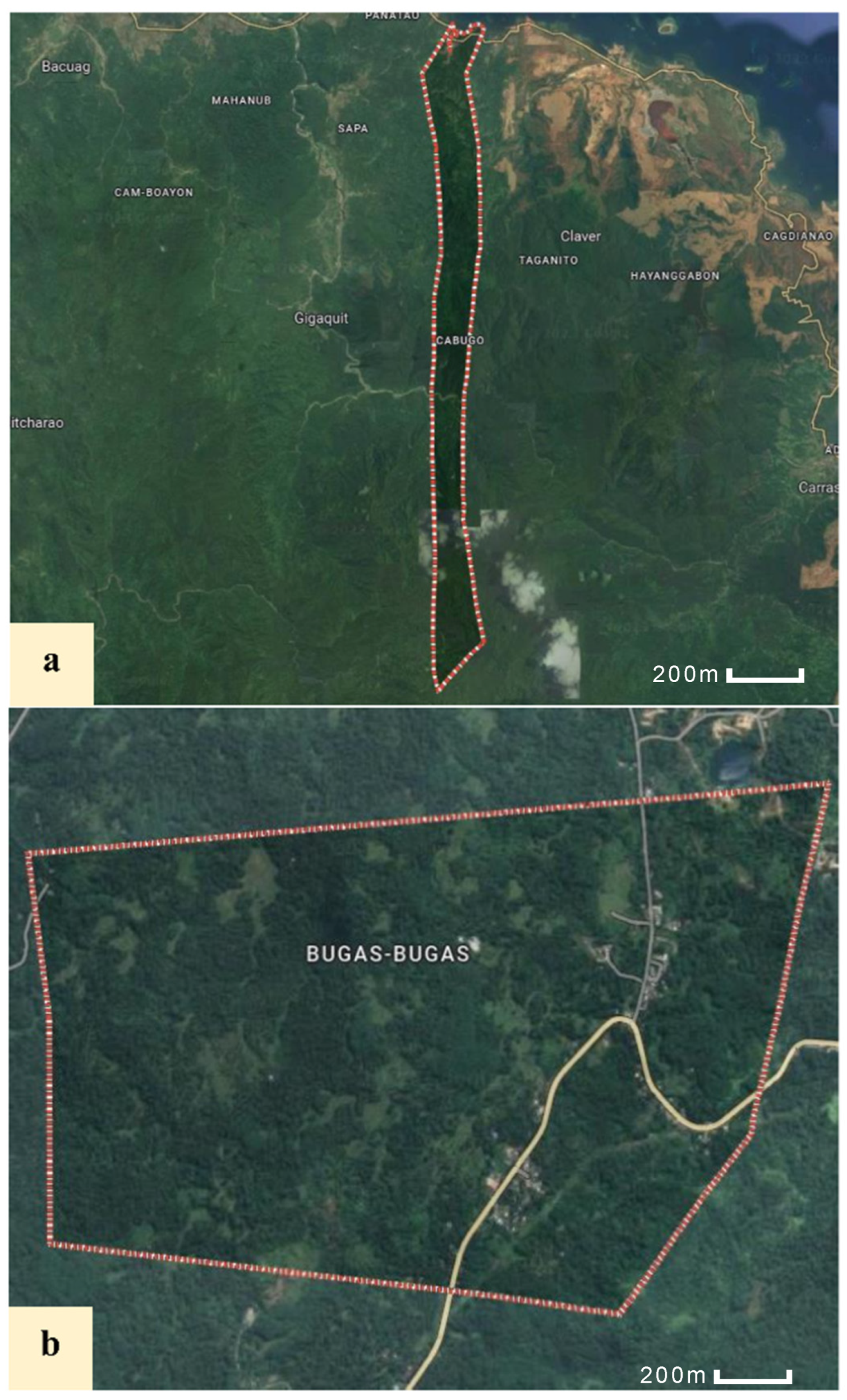 Preprints 153367 g006
