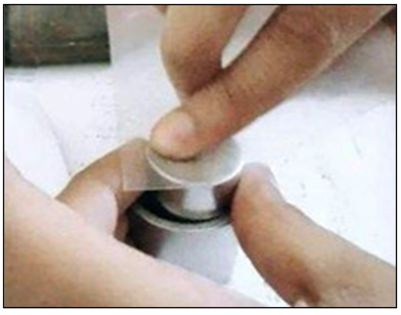 Preprints 153367 g0a10