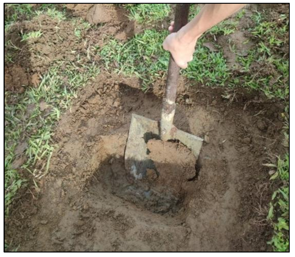 Preprints 153367 g0a2