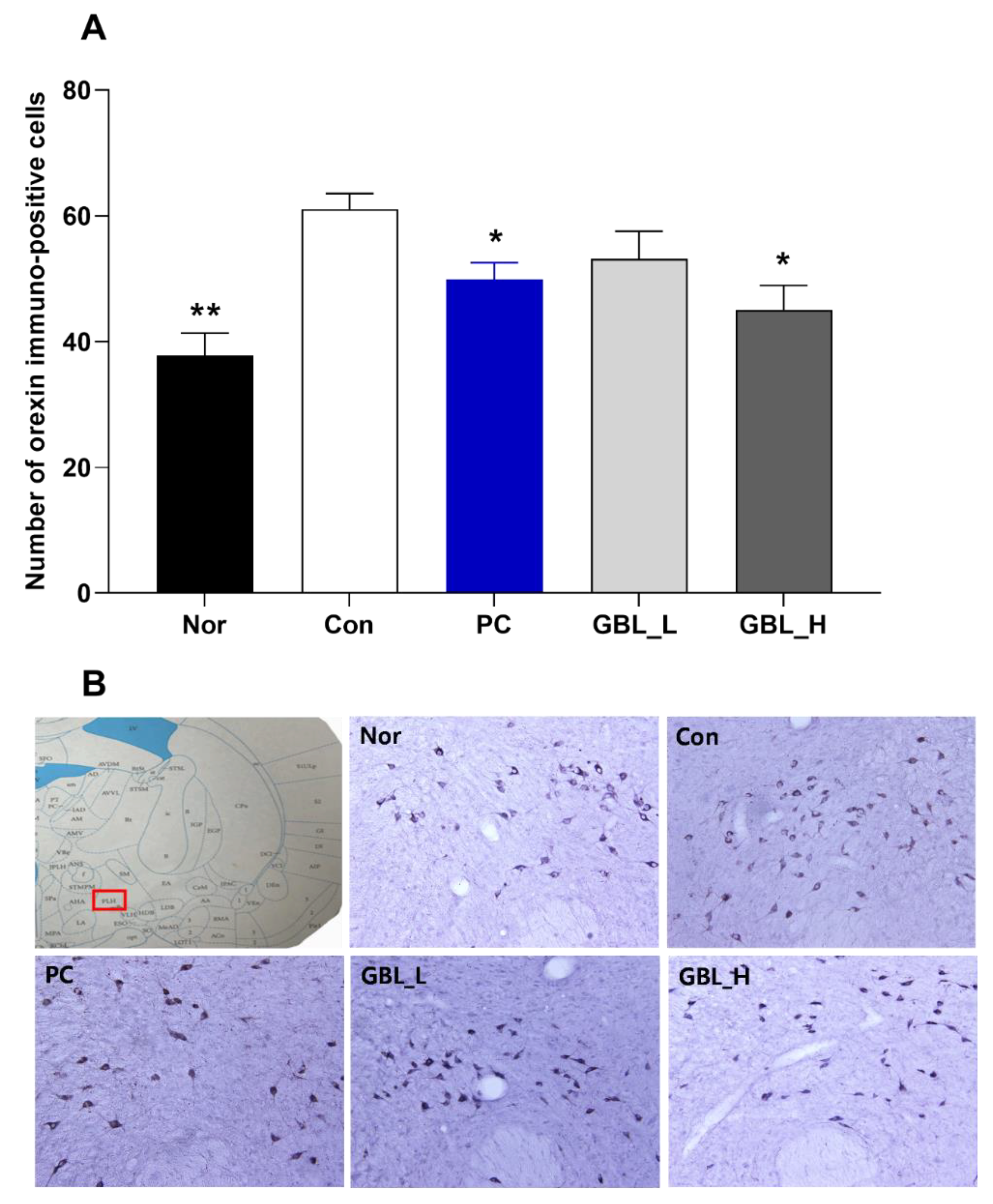 Preprints 108781 g004