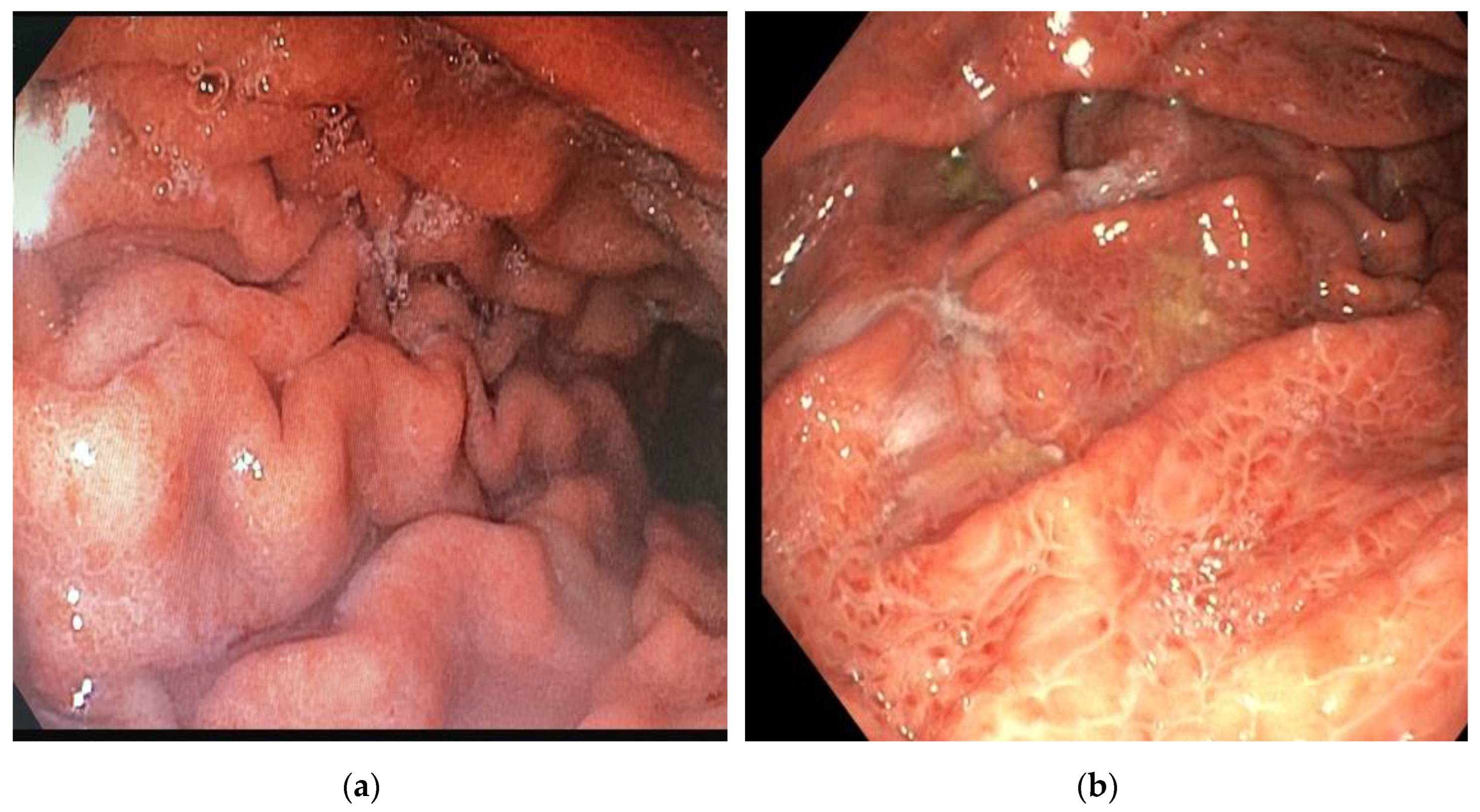 Preprints 161047 g001