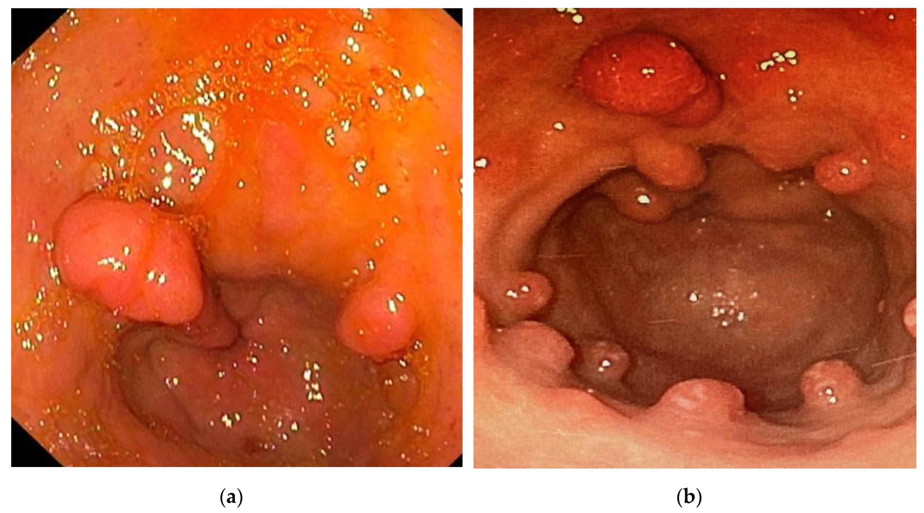 Preprints 161047 g002