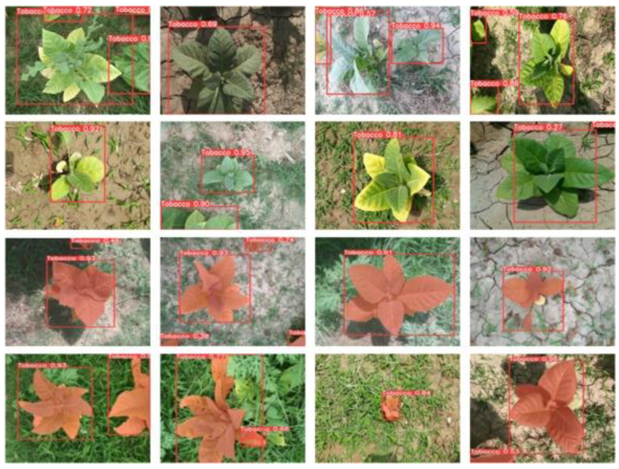 Preprints 151240 g003