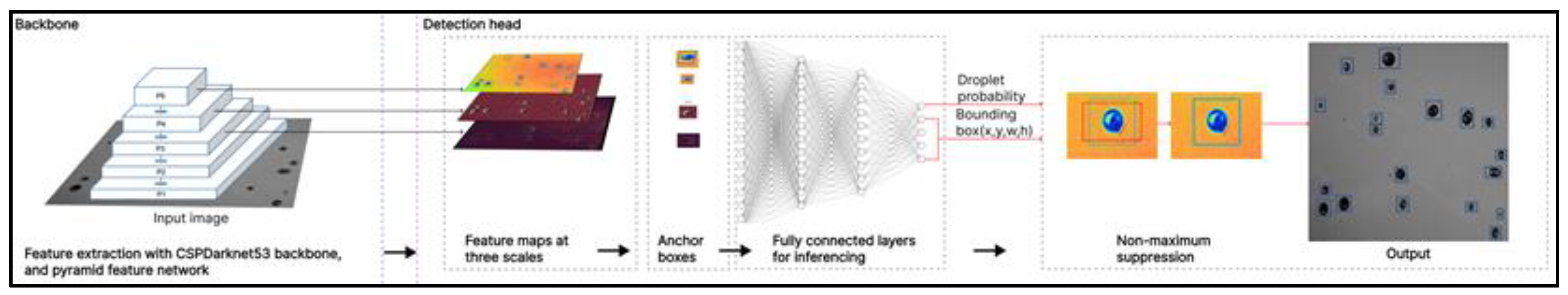 Preprints 151240 g005