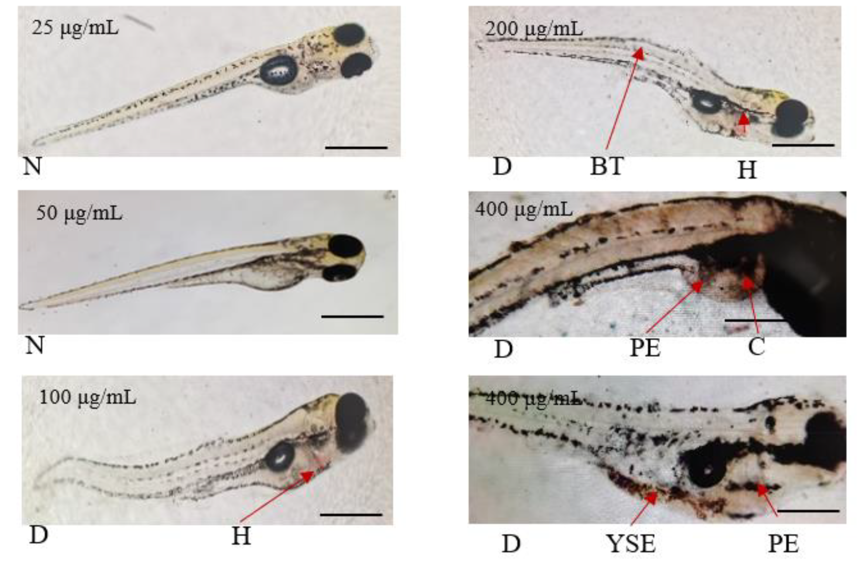 Preprints 148391 g001