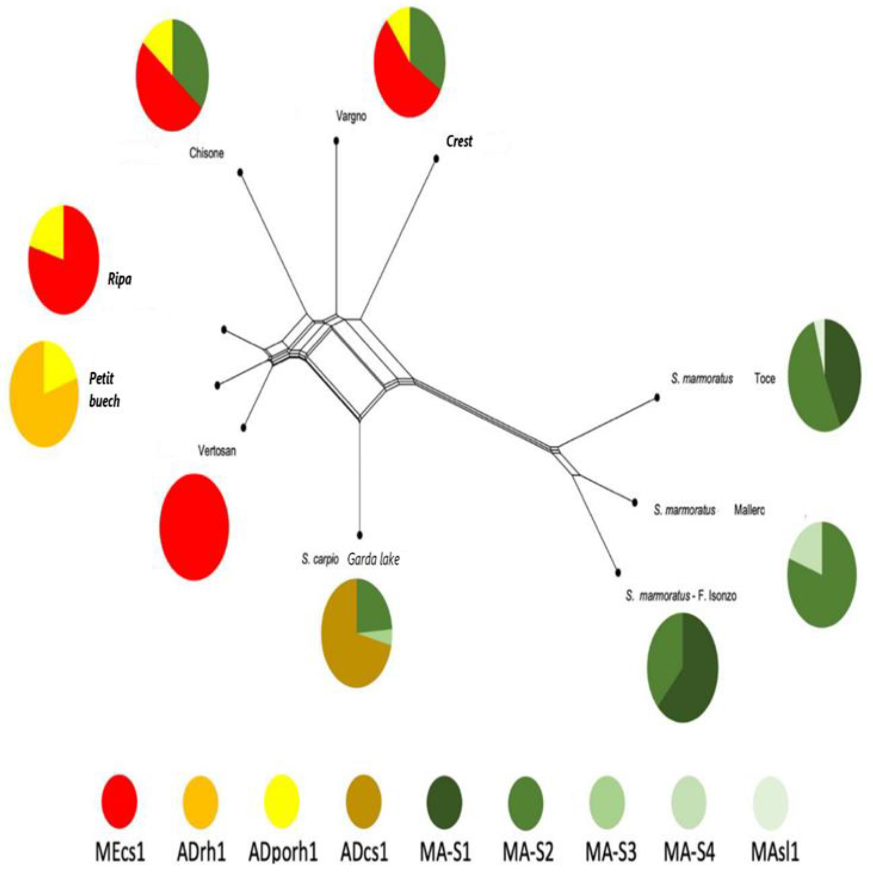 Preprints 158934 g005