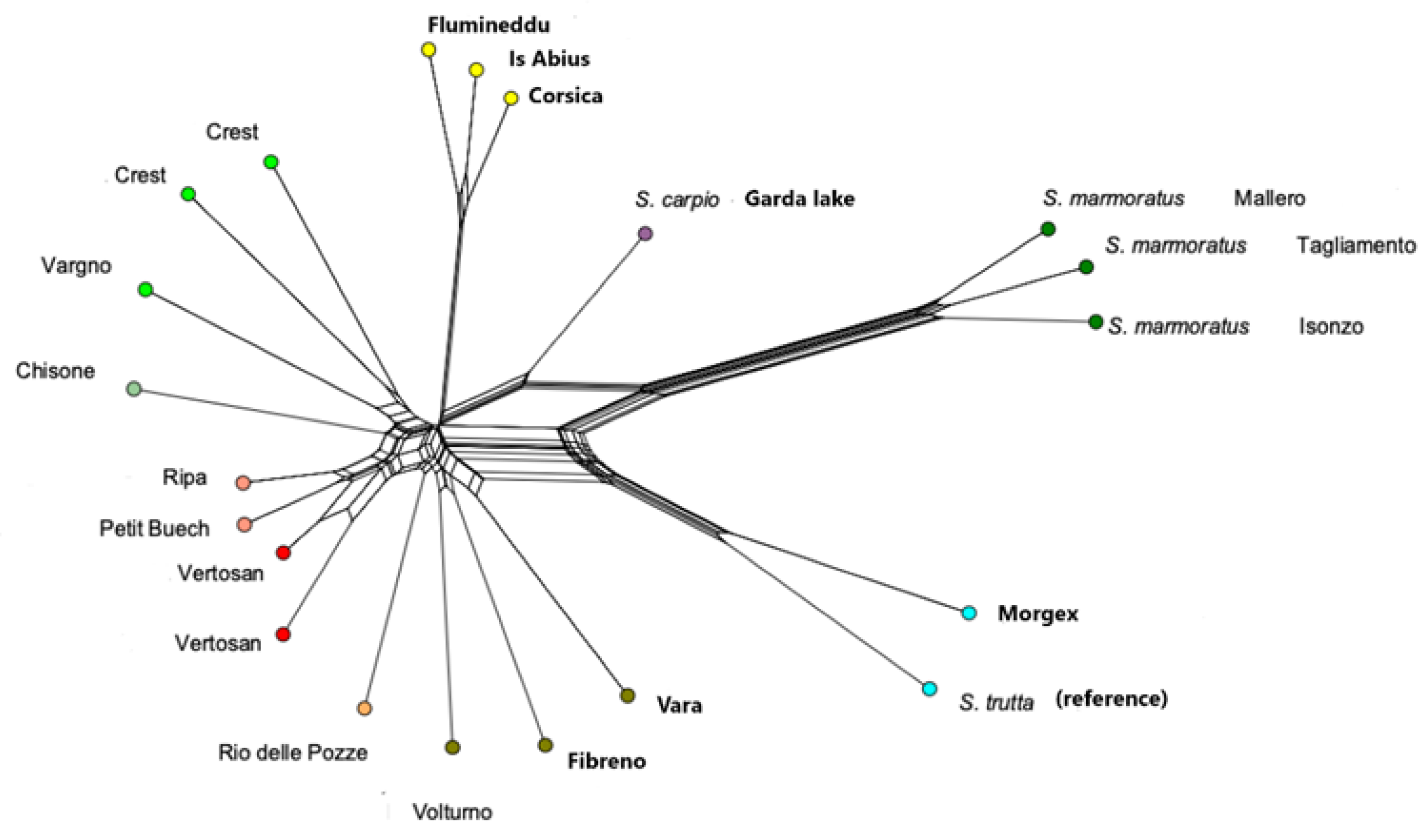 Preprints 158934 g006
