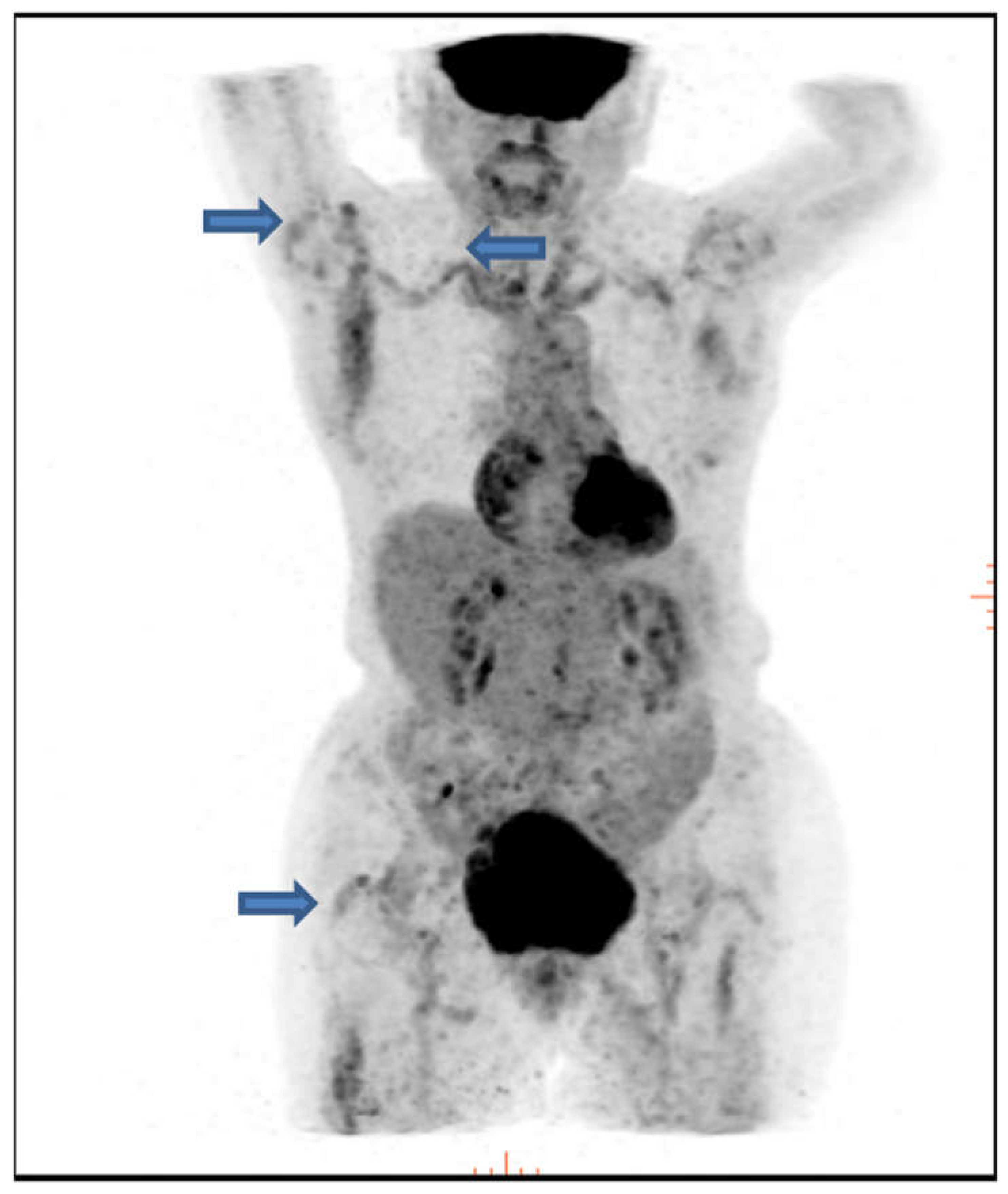 Preprints 109785 g002