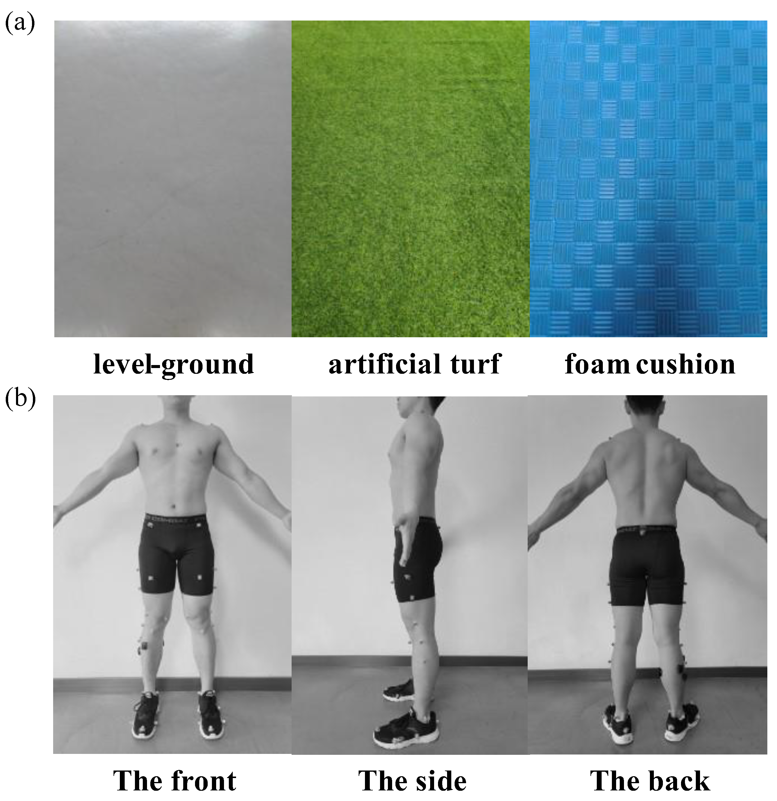 Preprints 95868 g001