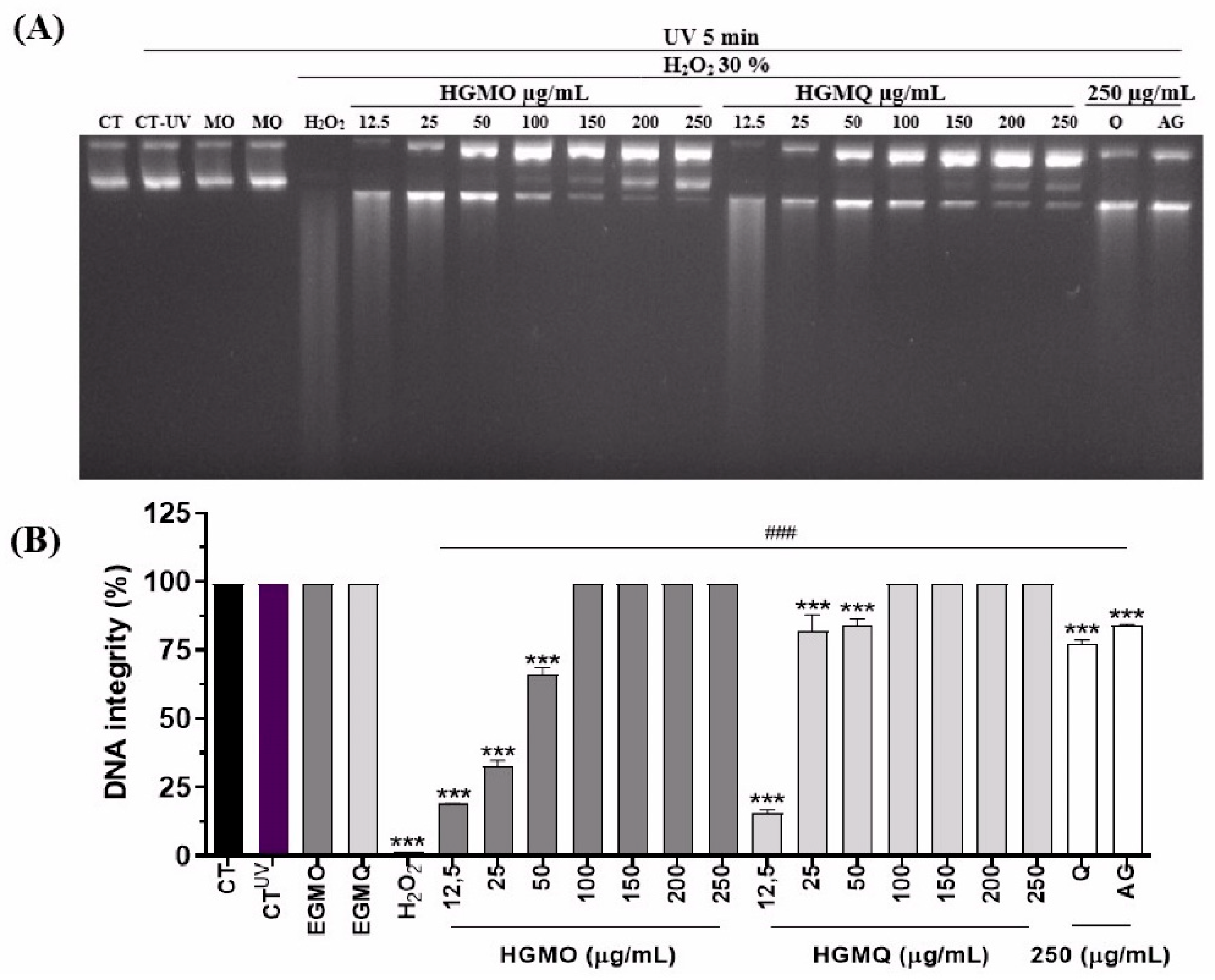 Preprints 197102 g002