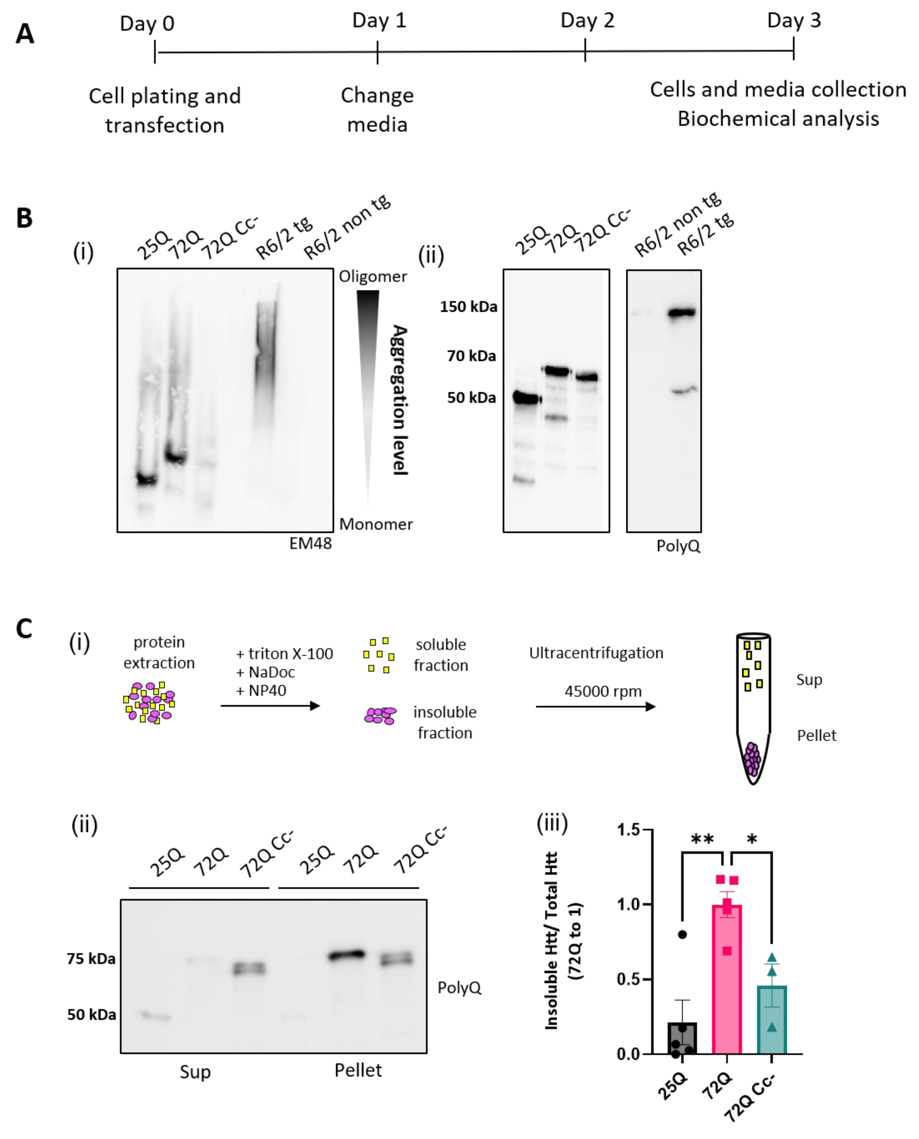 Preprints 160882 g002