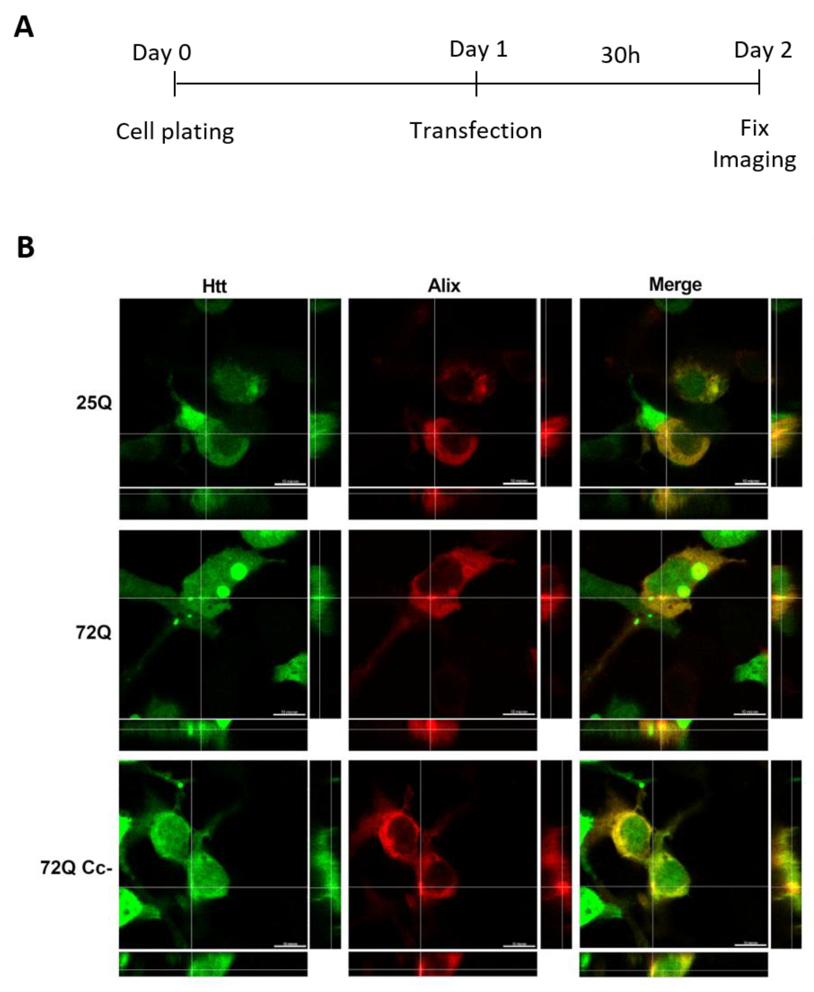 Preprints 160882 g003